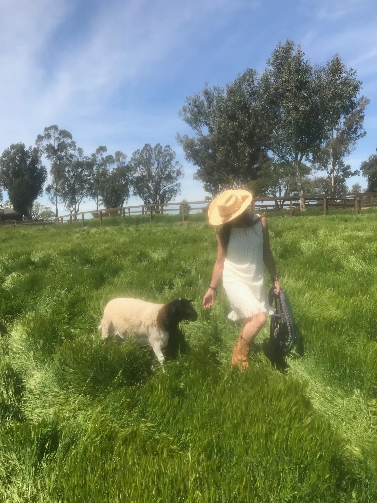 A woman wearing a white dress, cowboy hat, and brown boots walking in a green field with a sheep and trees in the background on a sunny day.