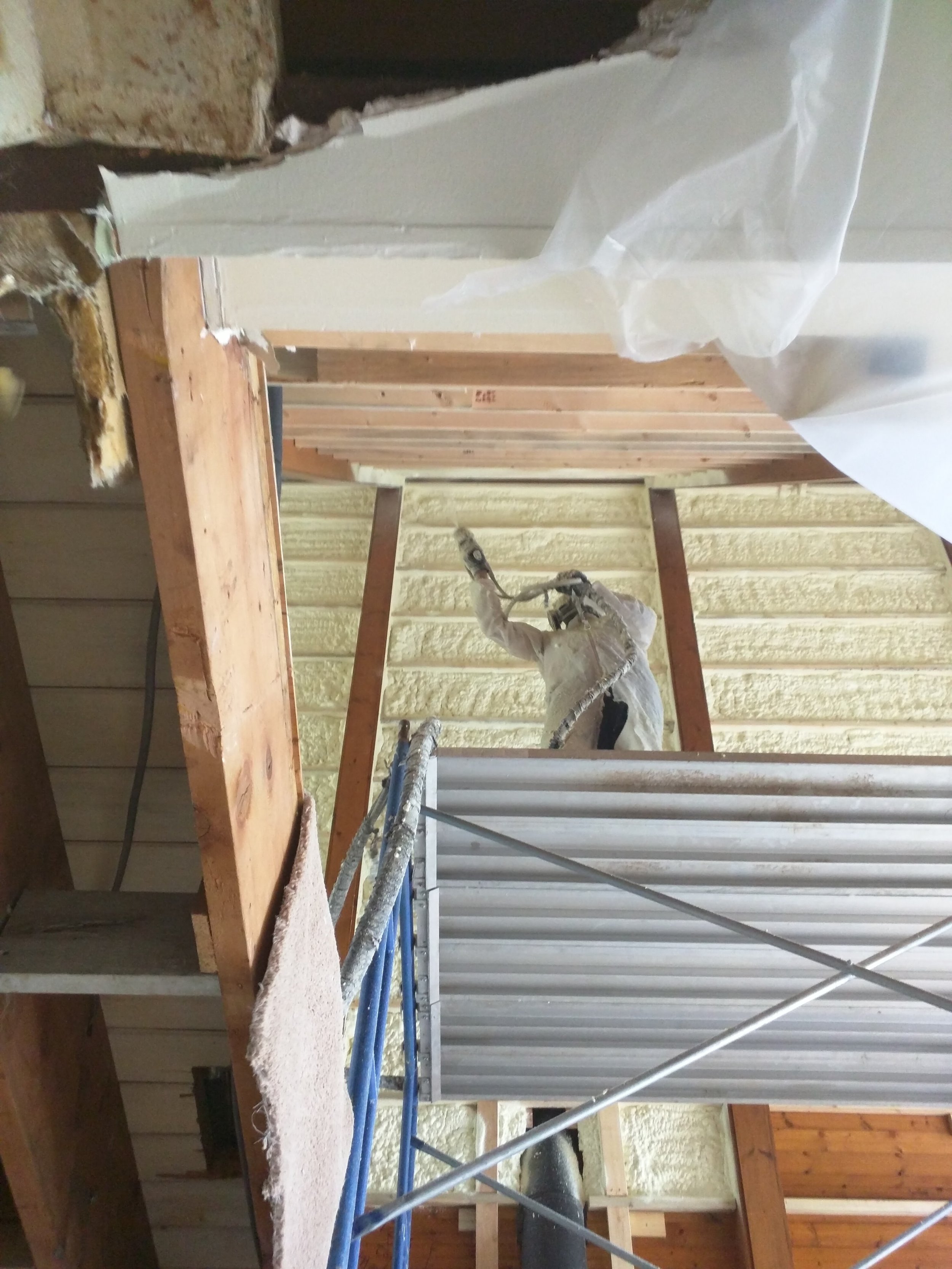 IMG_20160624_164728.jpg