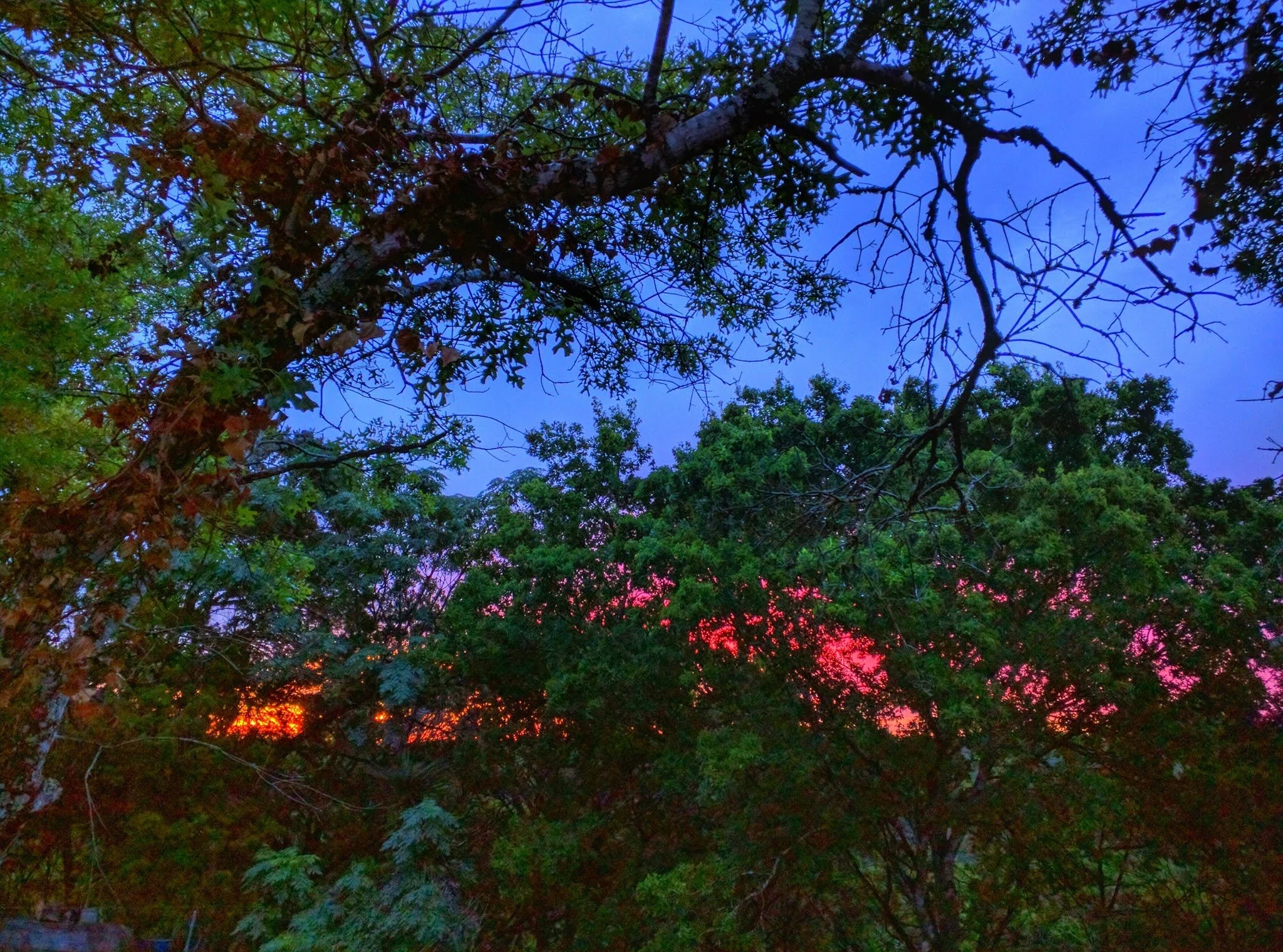 download_20160629_143643.jpg