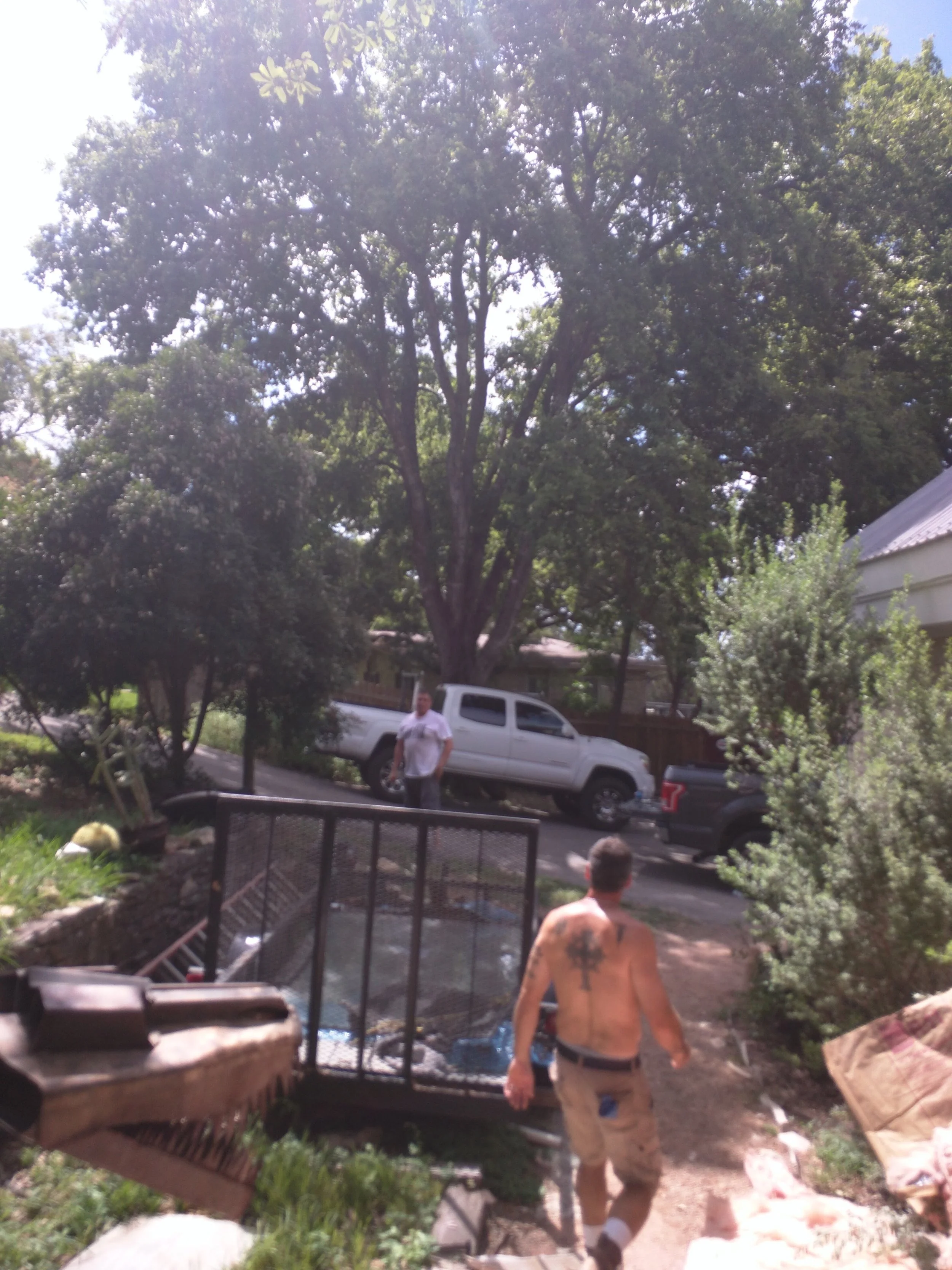IMG_20160624_155416.jpg