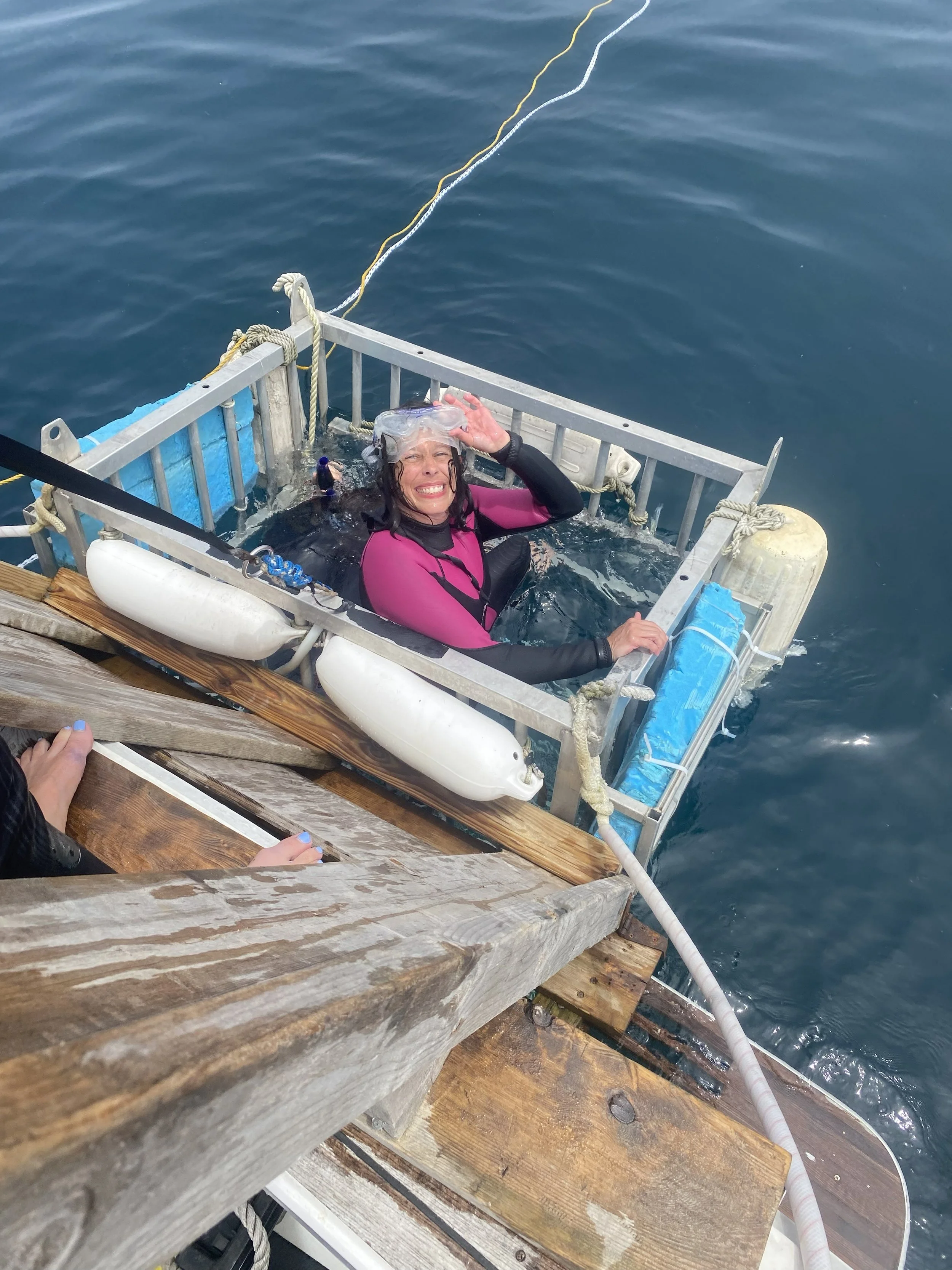 A woman in a snorkeling mask smiling in a small floating cage on the water, with a wooden dock in the foreground and the ocean in the background.