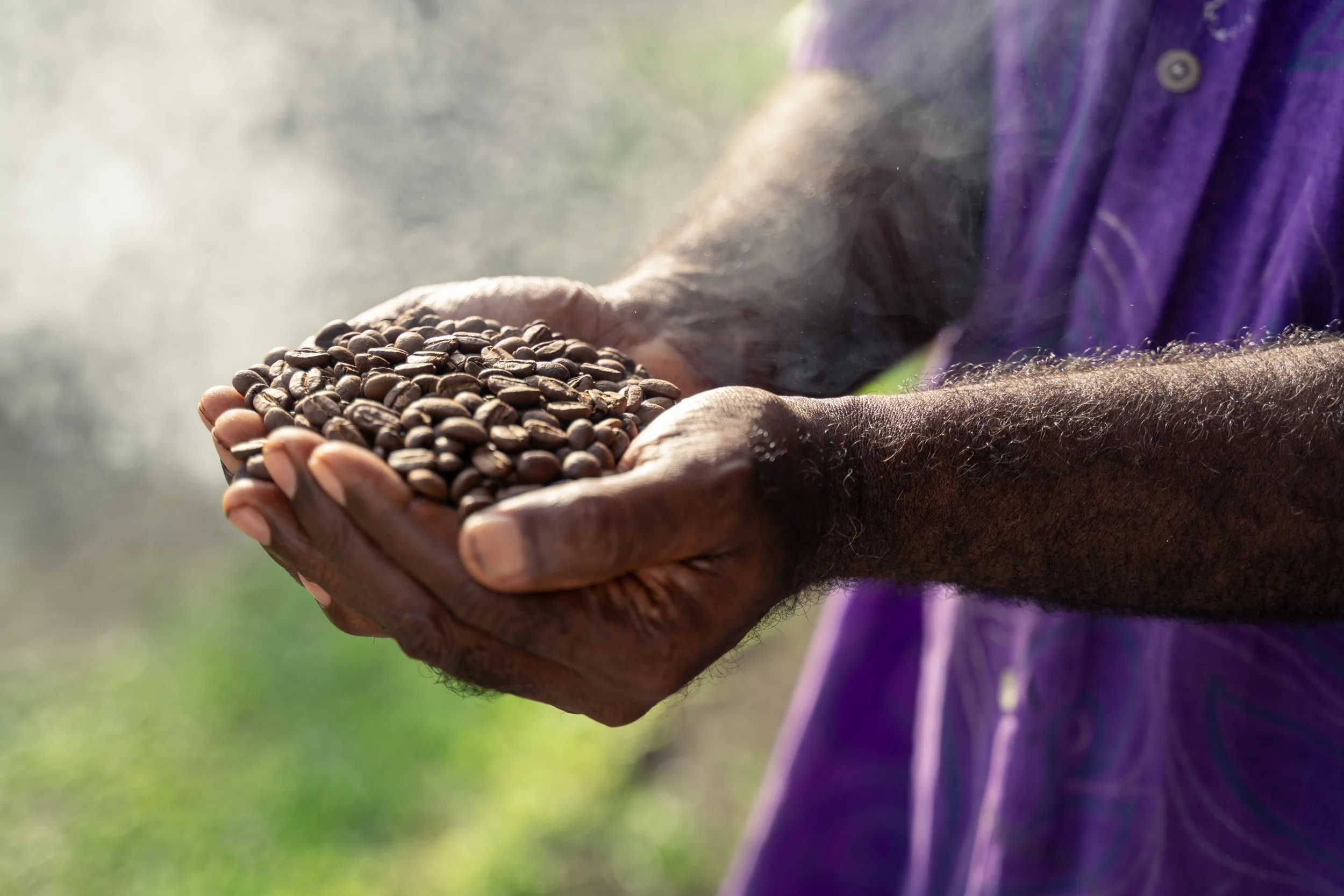 Regenerative Agribusiness