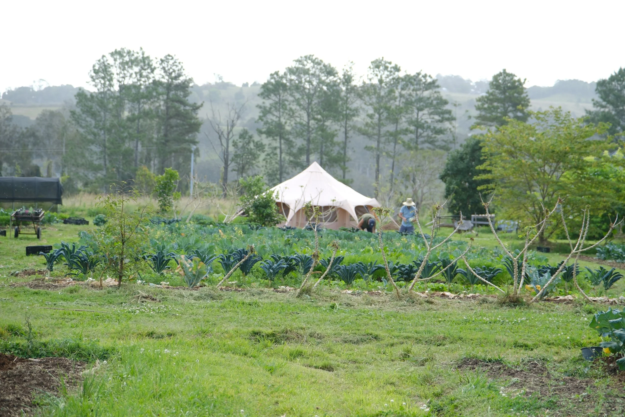 Regenerative Agritourism