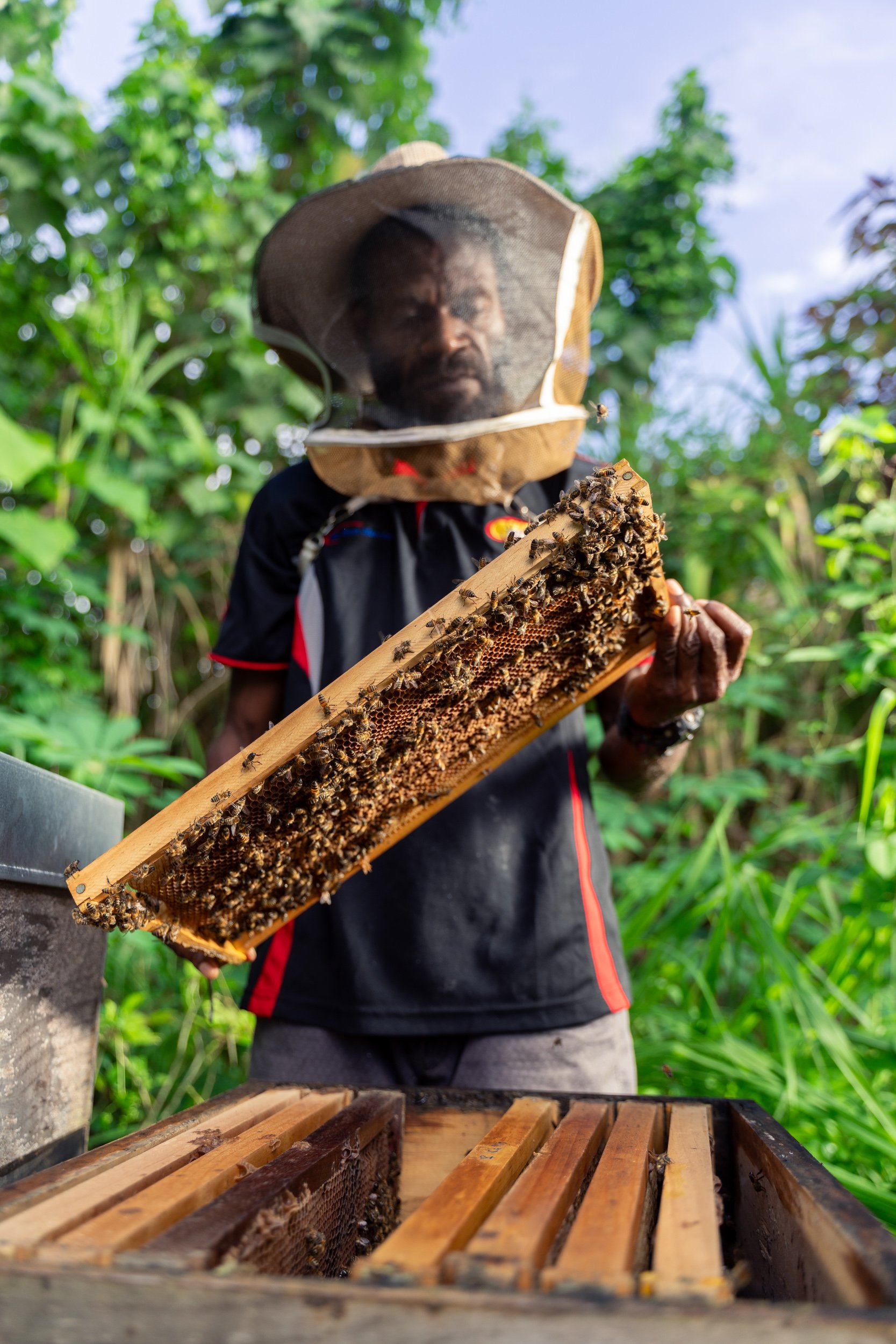 Regenerative Vanua ~ samjamphoto -77.jpg