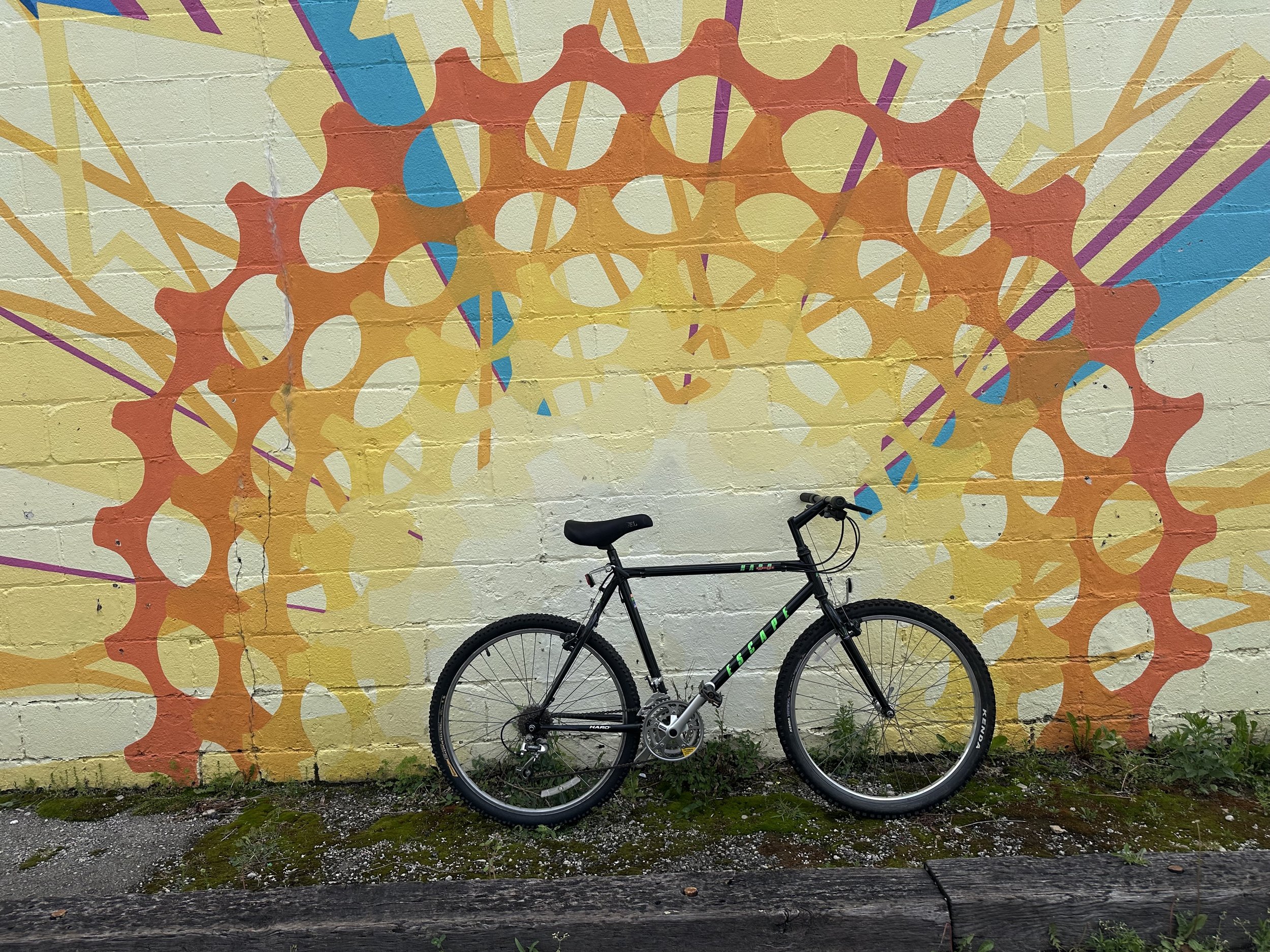 Nashbar Escape Rigid Mountain Bike