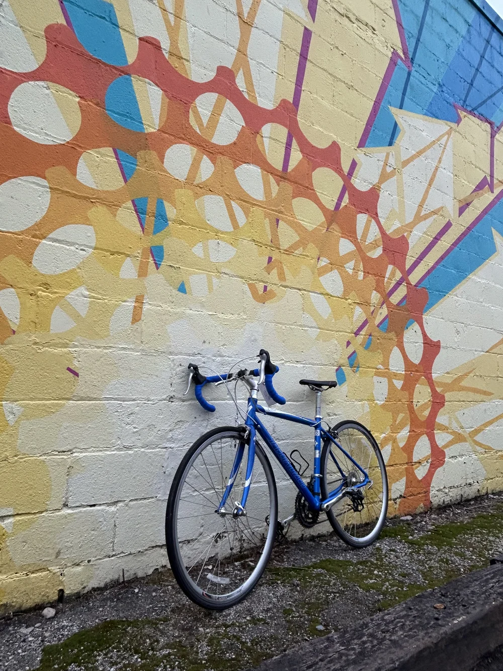 自転車本体 specialized DOLCE ELITE 2017 48 c-t392 Dolce Sport