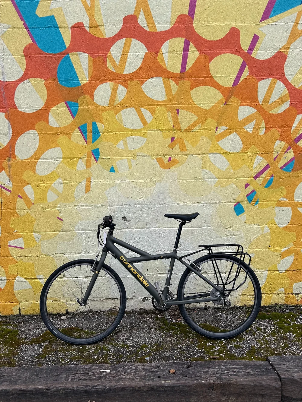 Cannondale Killer V 900 — Freewheelin' Community Bikes - Main Image