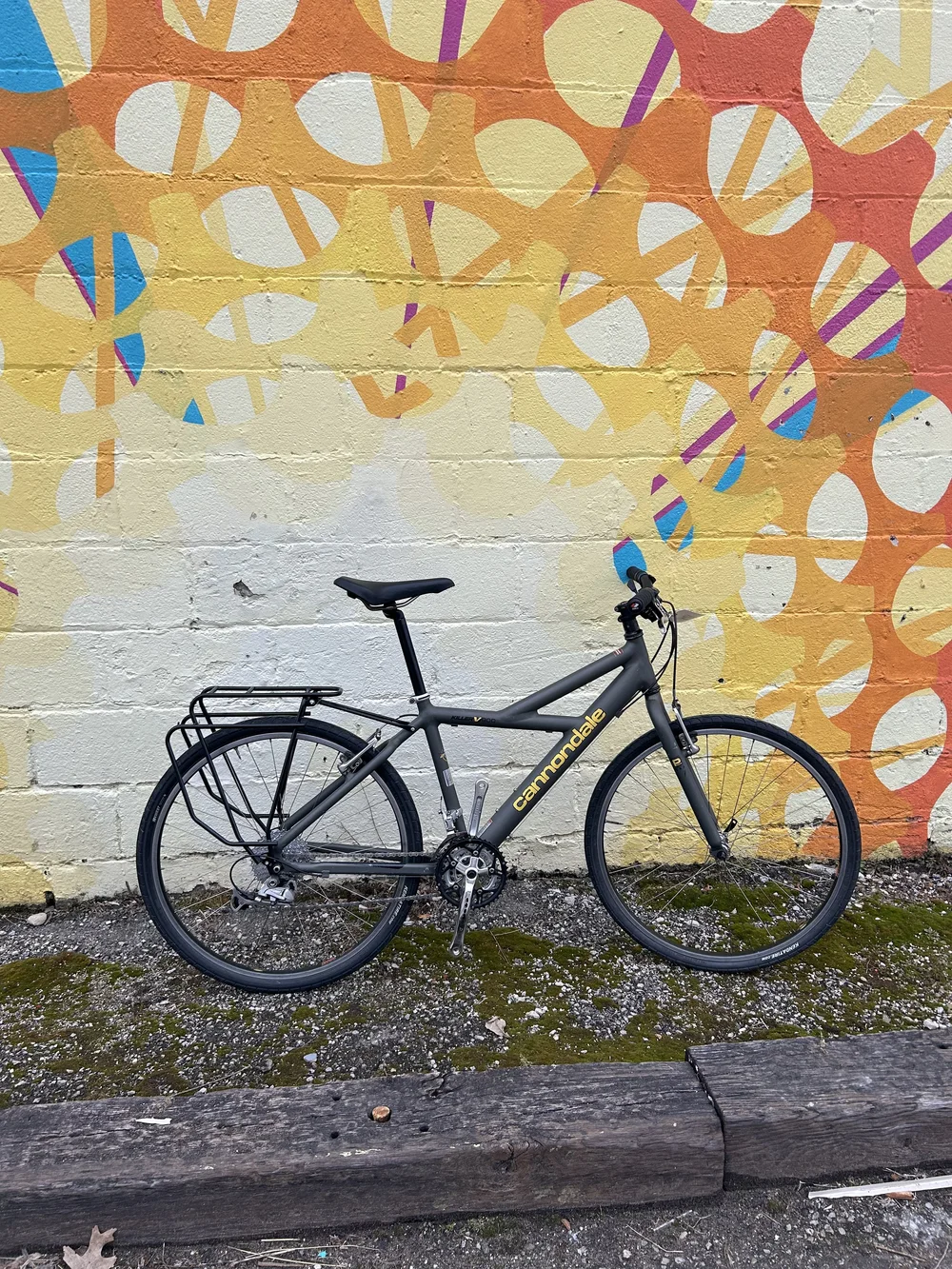 IMG_0234.jpeg?format=1000w