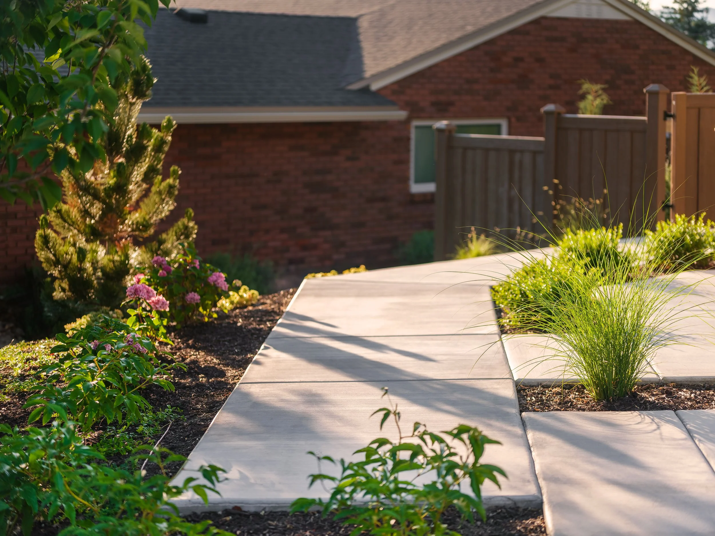 Threadleaf Design_Carr Project__070924_0012.jpg