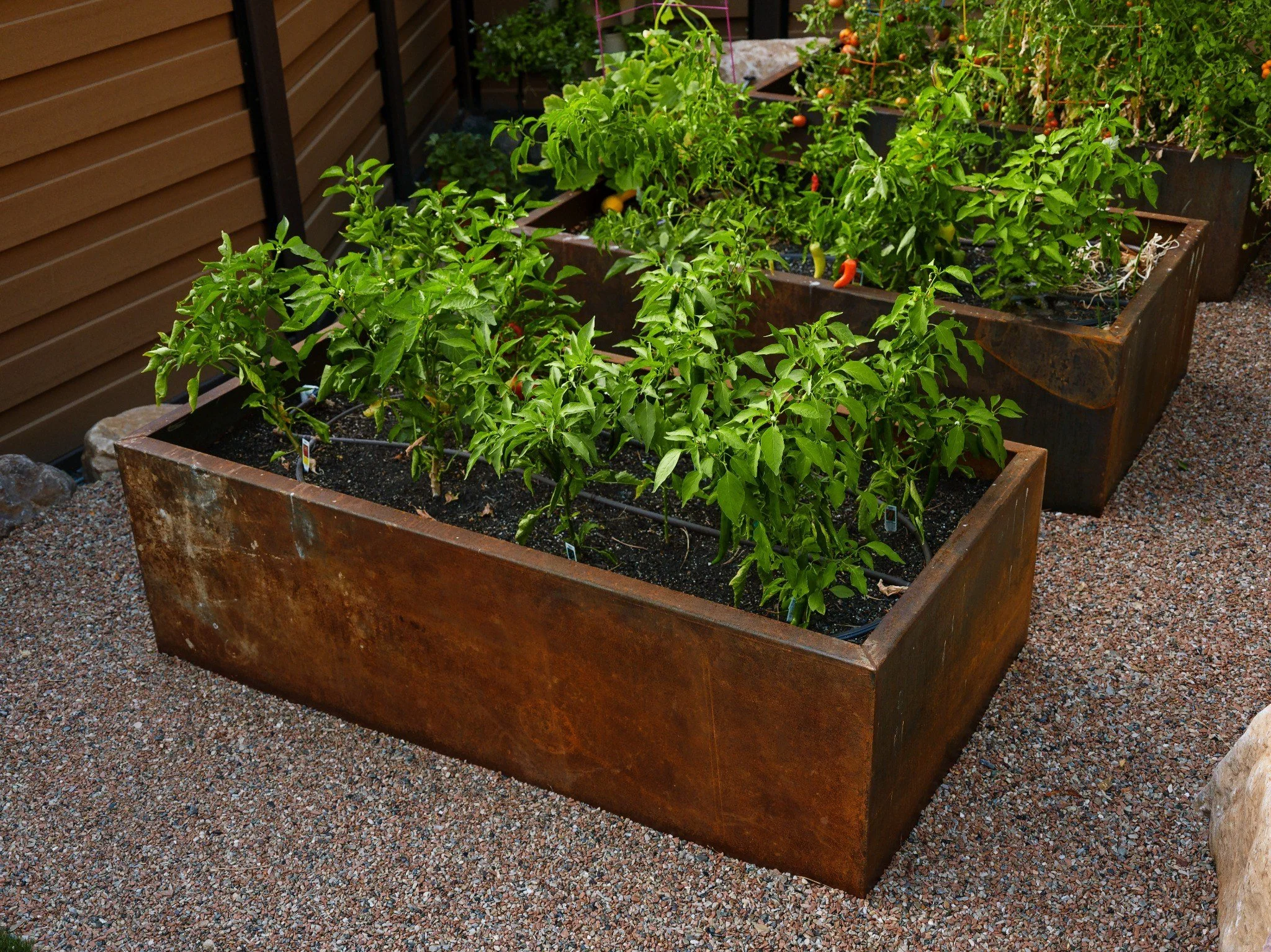 Threadleaf_Design_Dee_Project_0925_0055_Web_Optimized.jpg