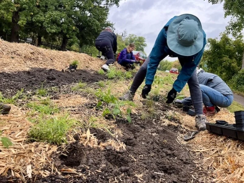 PREPARATION FOR PLANTING AND MAINTAINING THE GARDEN