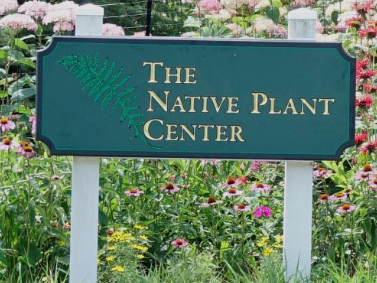 WCC Native Plant Center Native Plant Weekend