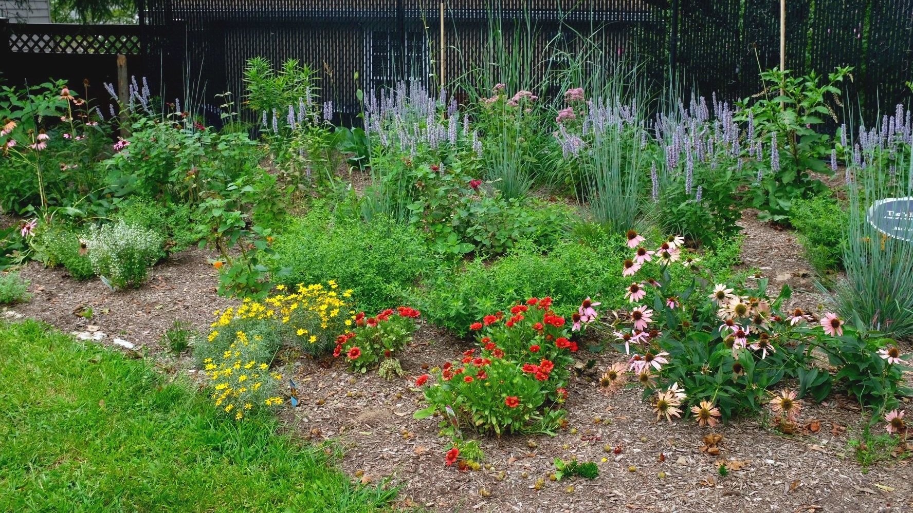 Volunteer Planting - Neperan Park