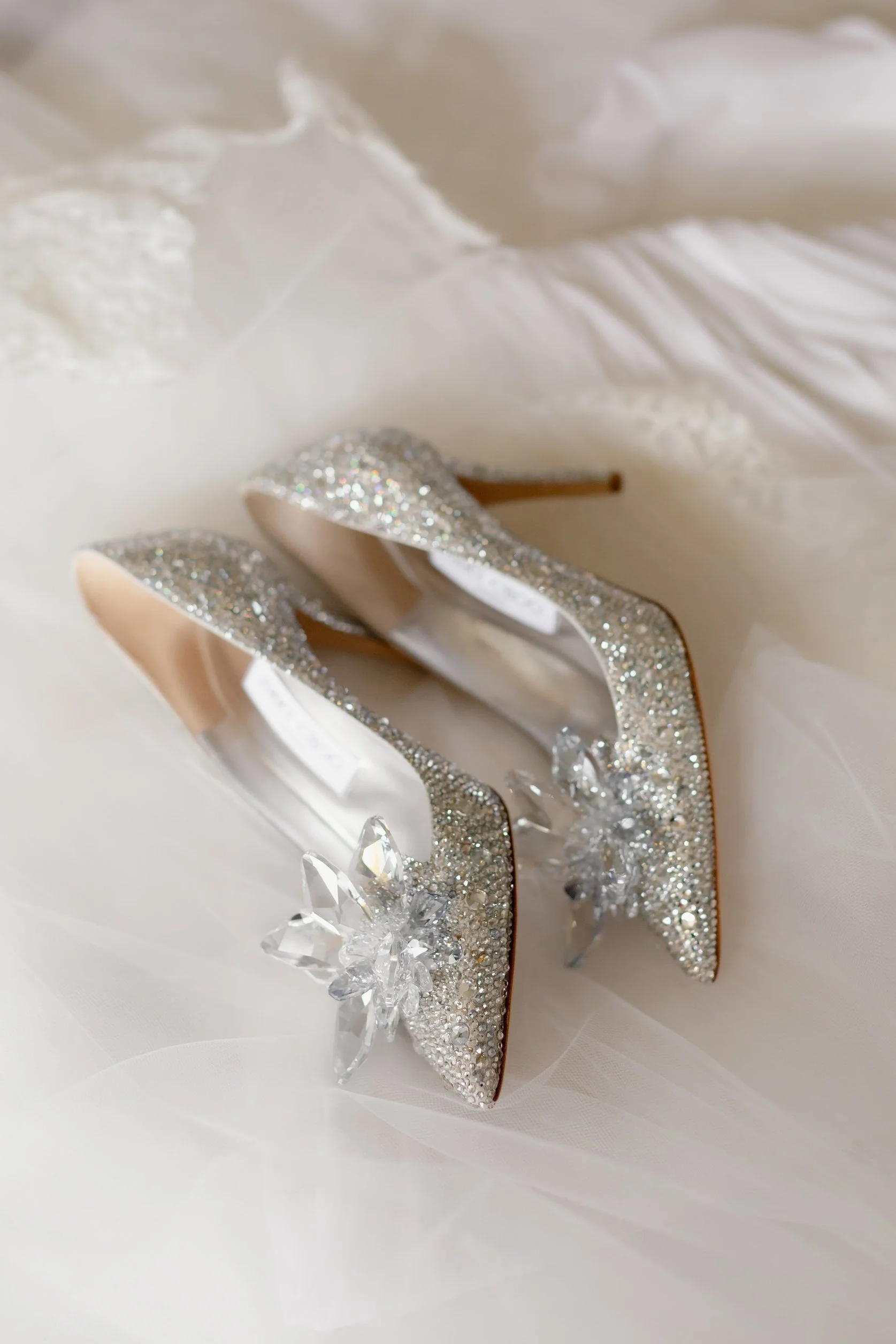 Erin- neale-Photgraphy.jpg