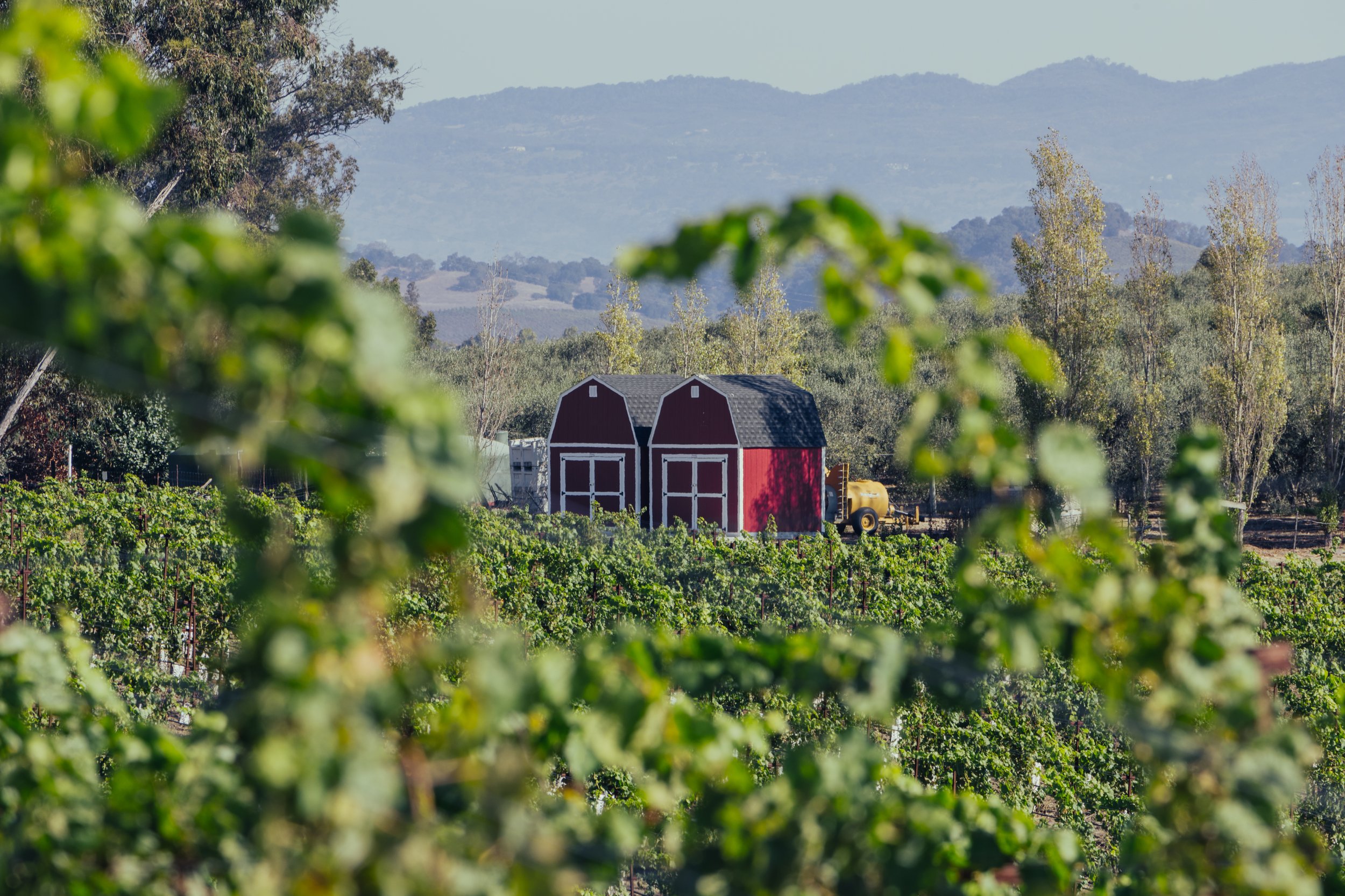 HS_AMEX-EQUINOX_NAPA_V4-1.jpg