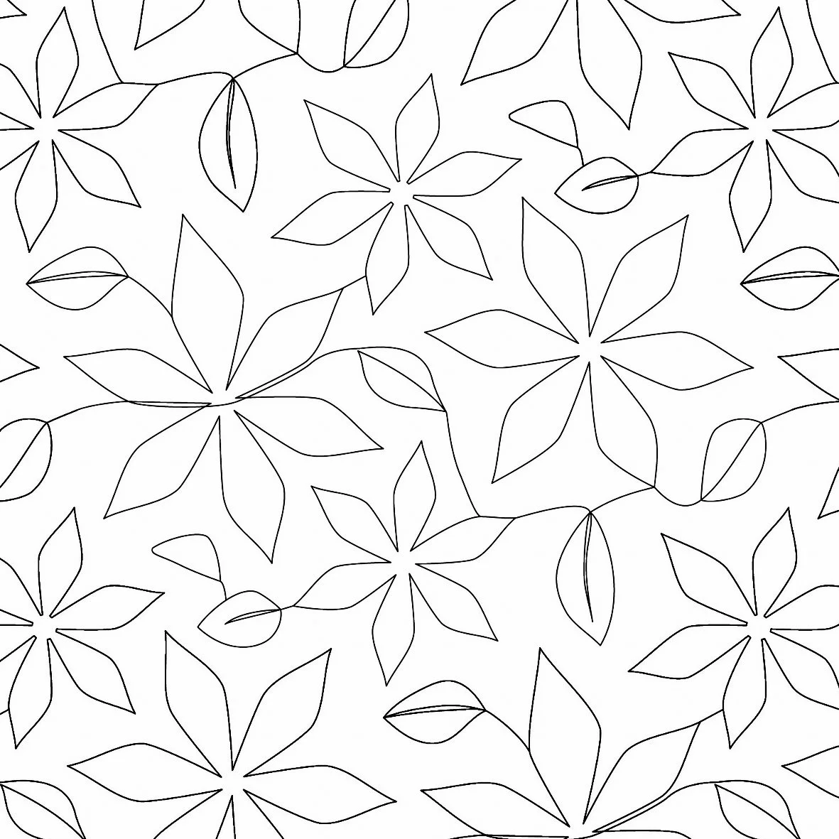 Poinsettia 2