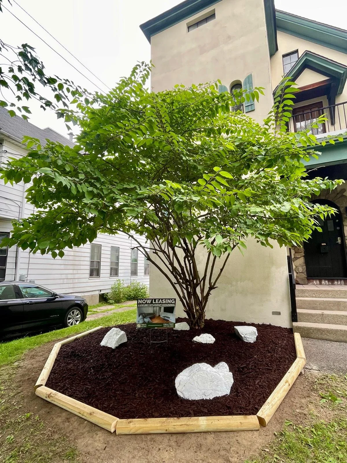 128 Chapin Exterior Photo_Trees 2.jpg