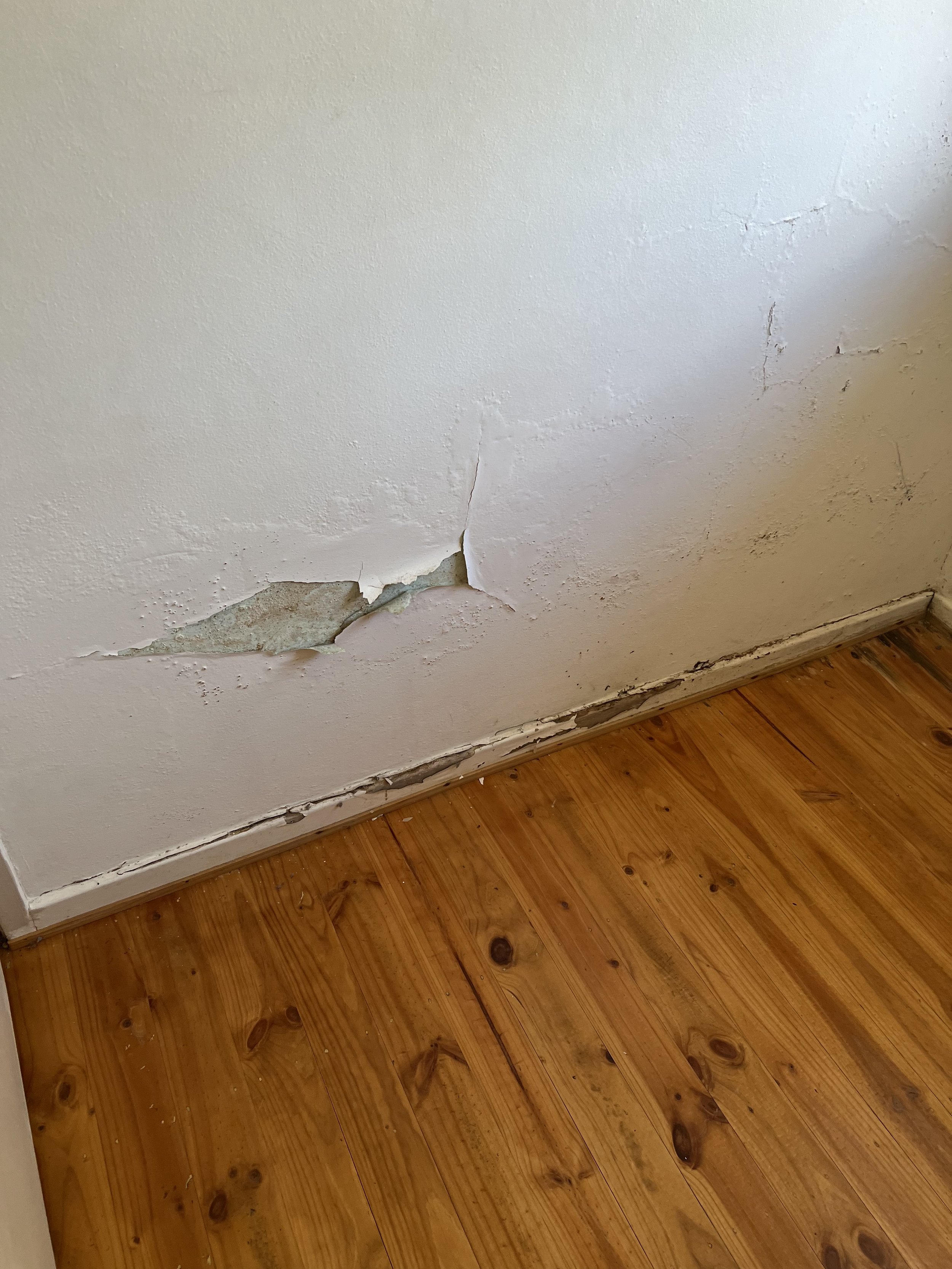 7059FFB0-5597-4CFE-A99E-FCA8F9B06299.jpeg