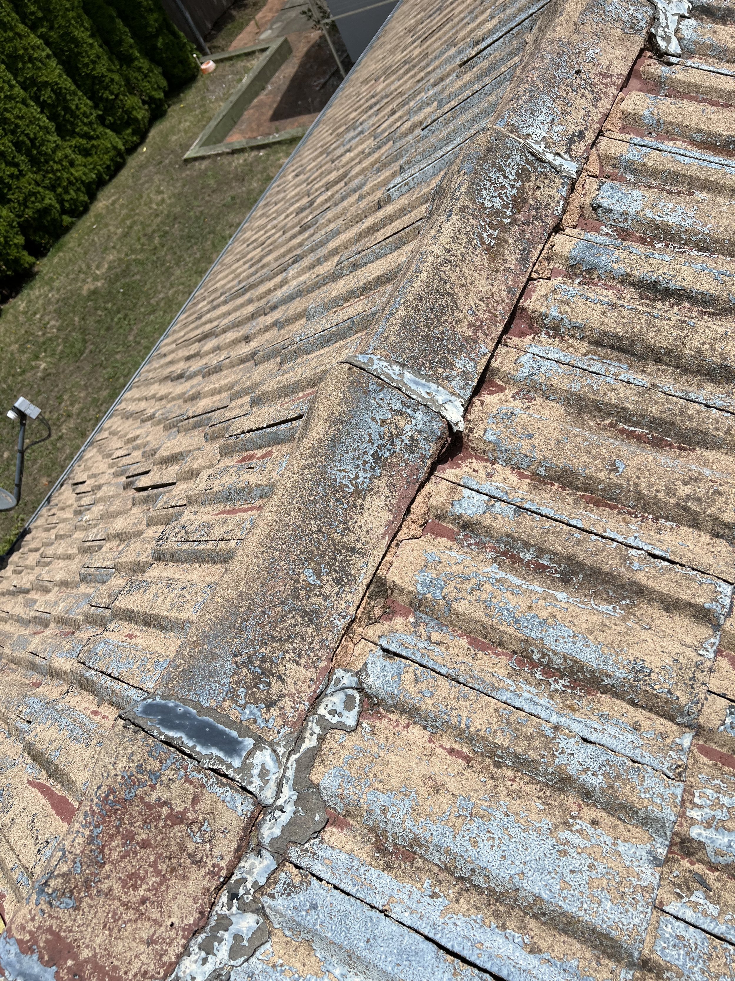 9B976310-C0BC-4905-A30E-A3691DDEA3F1.jpeg