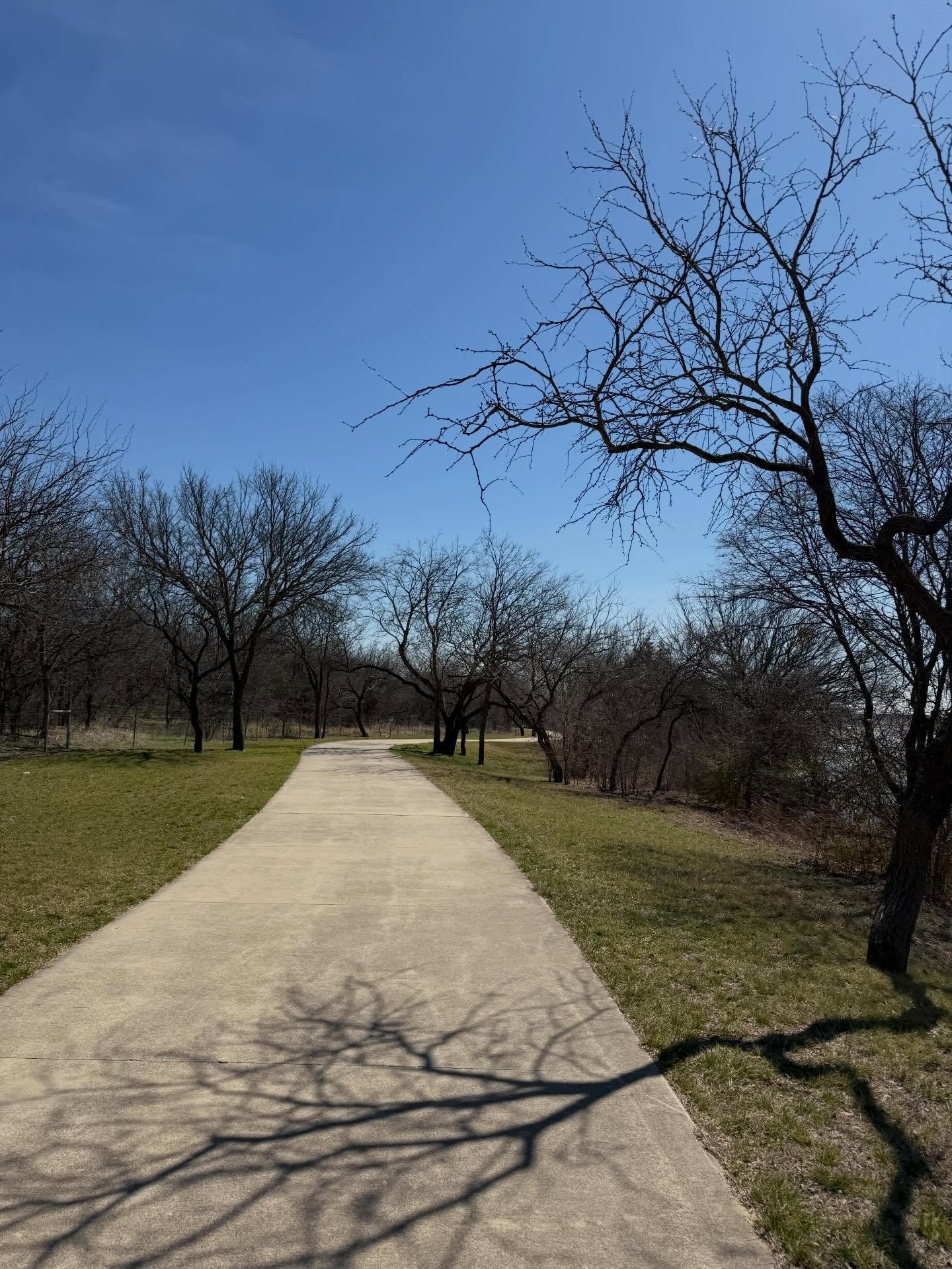 Monday morning. Cache cleared. 

Sometimes before I make a single mark, I walk. 
Same lake. Different paths. 
Different sky every time. 

In web development, clearing the cache wipes the old data so the system runs clean. 
That&rsquo;s what the walk 
