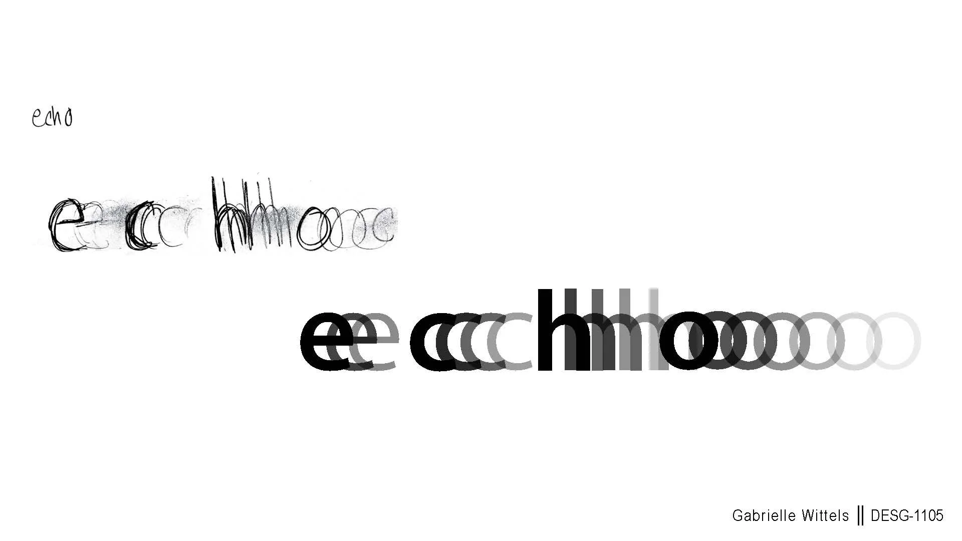 Type + Meaning - Echo