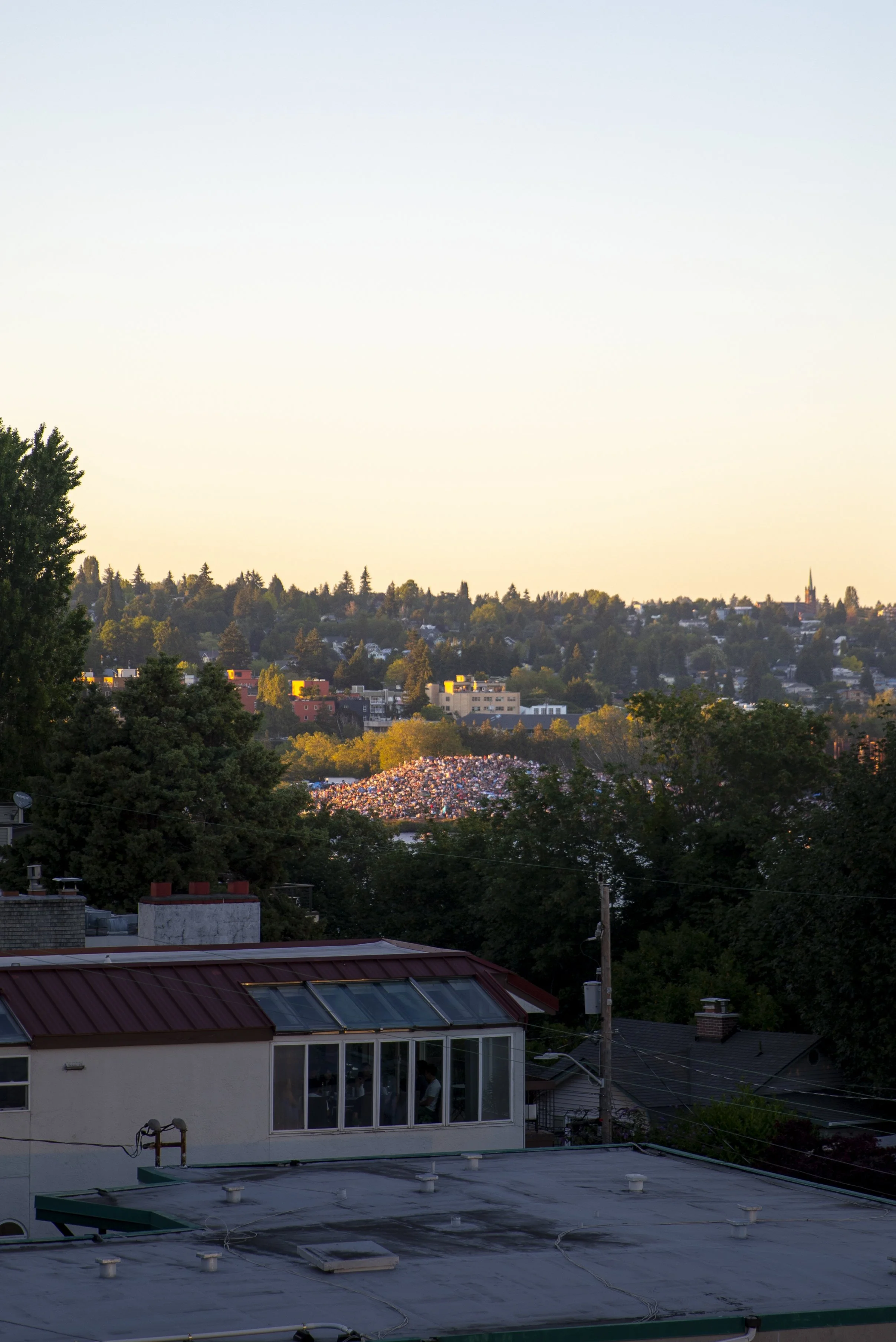 IMG_6323.jpg