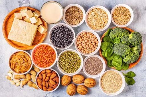 The Complete Guide to Plant-Based Protein Sources