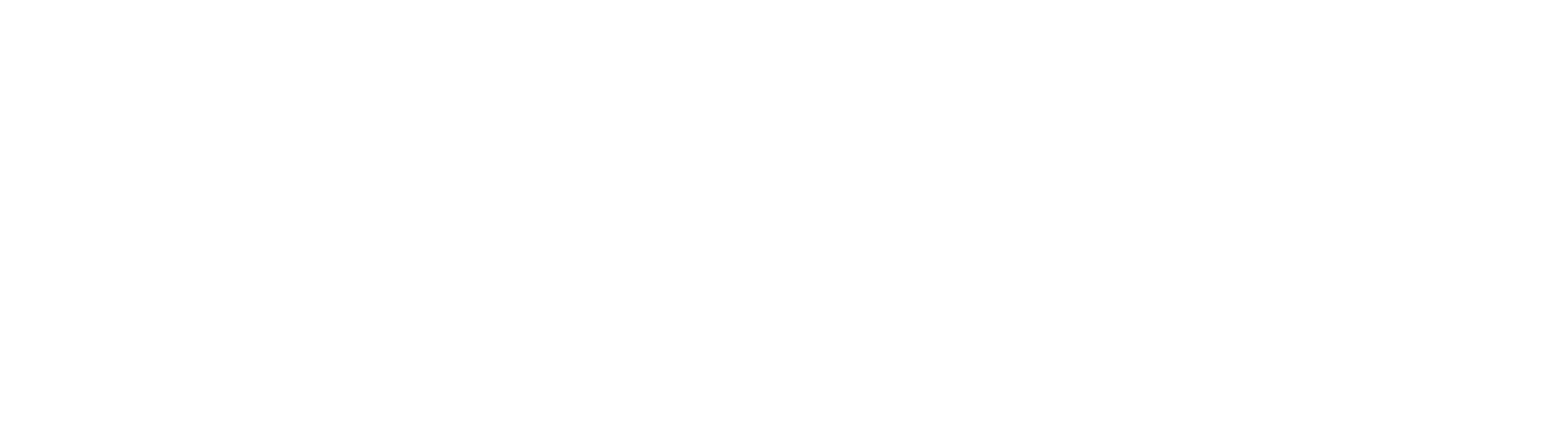 Vegan People