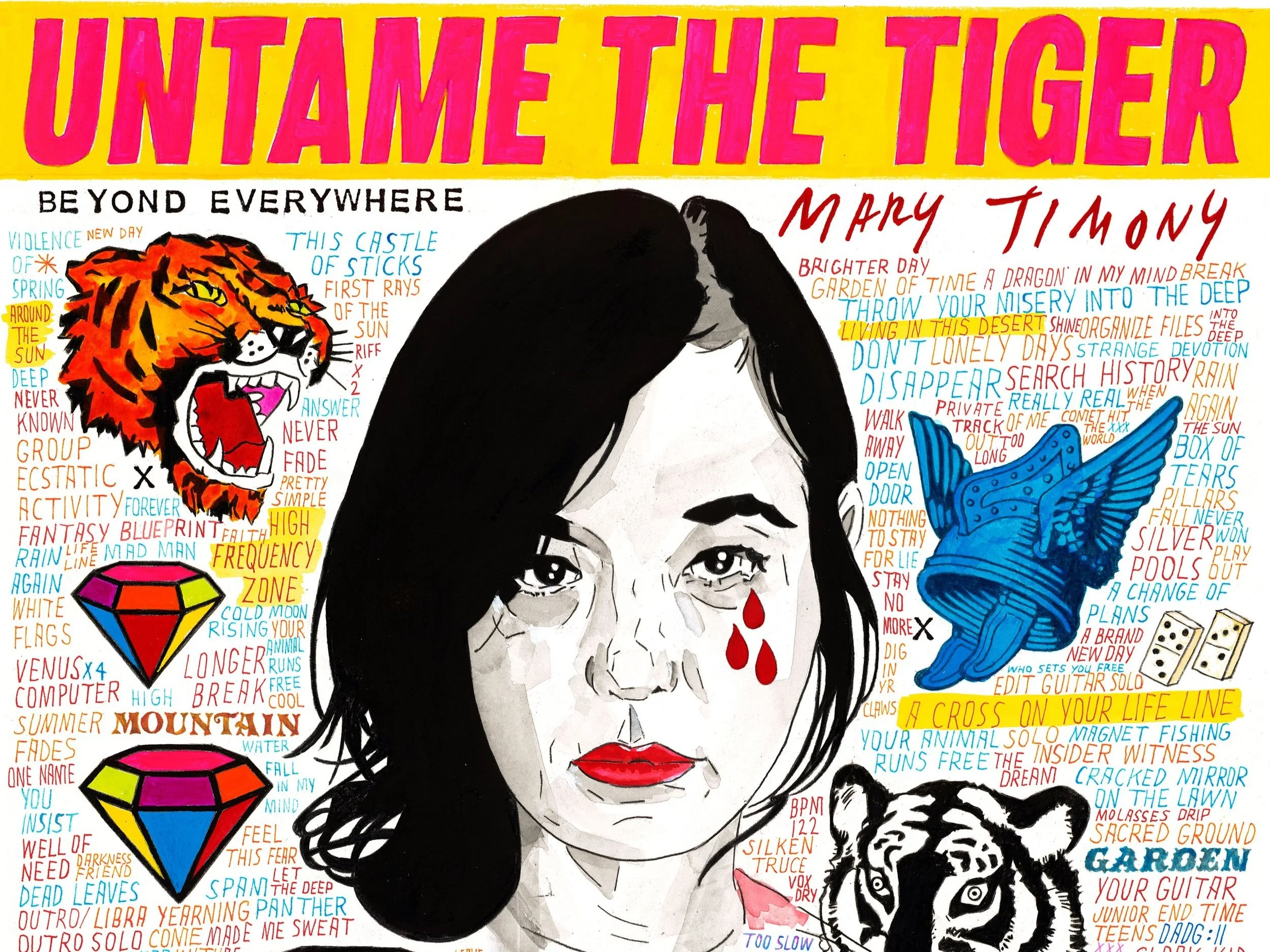 Mary Timony Turns the Energy and Emotions From a Bad Situation Into a Positive One on Untame The Tiger