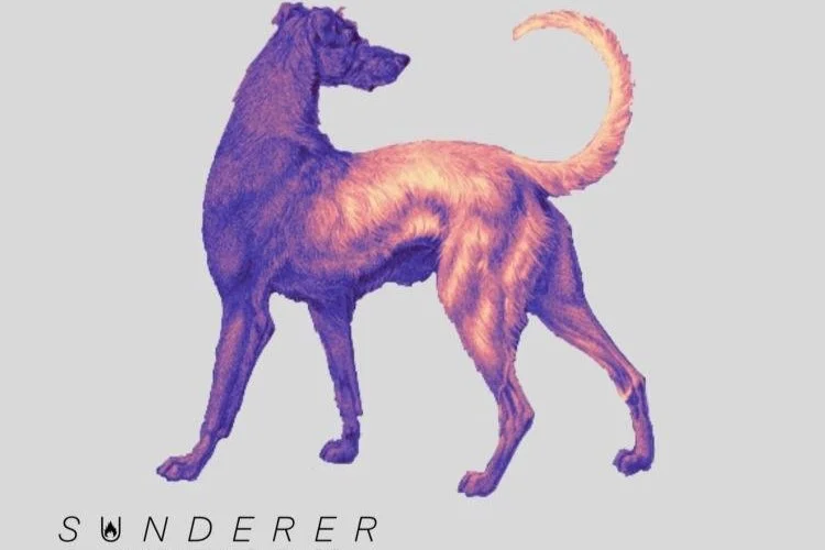 Old With The New: Mad // No Fuss by Sunderer