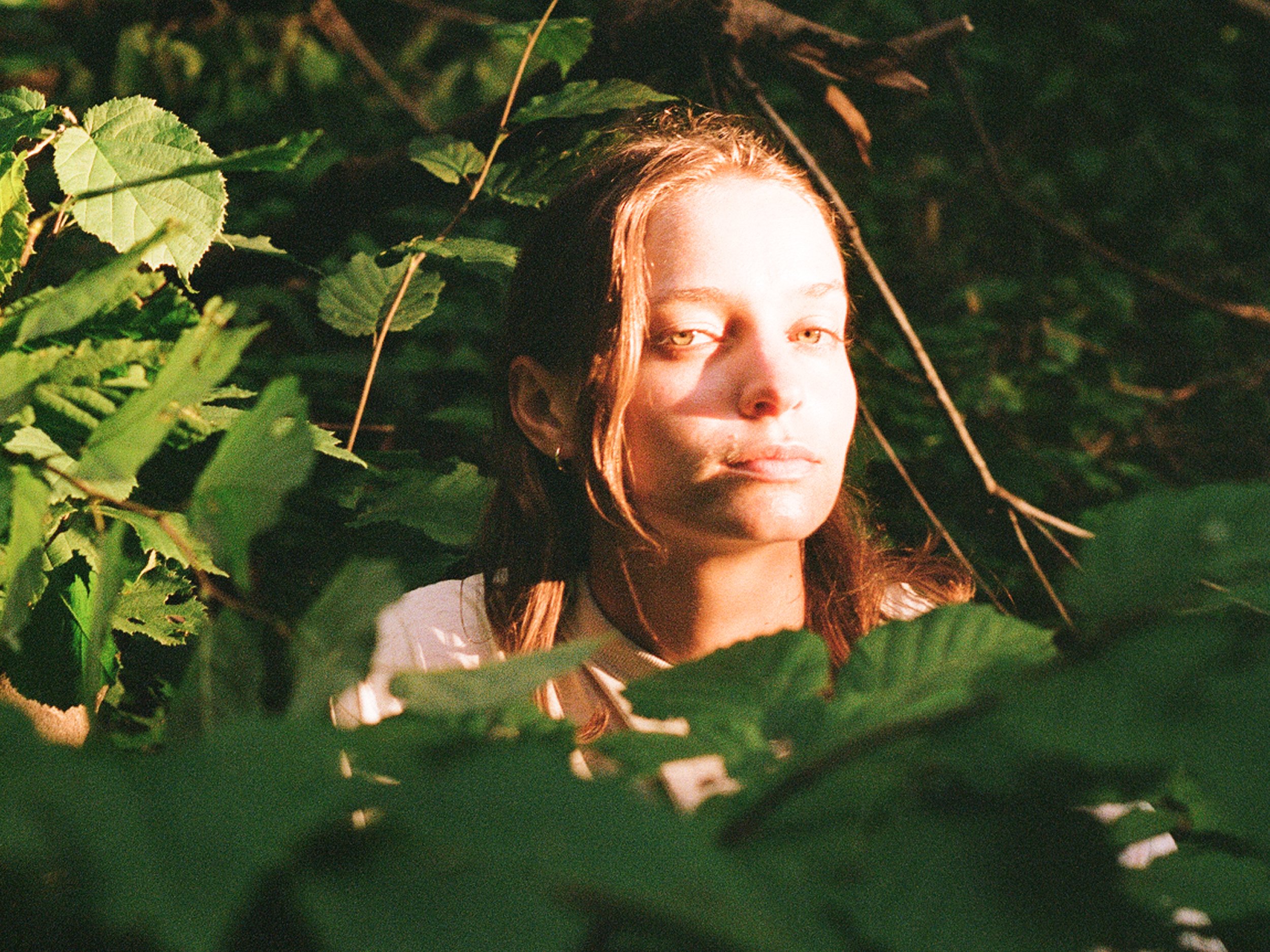 PACKS Are Still Melting the Honey and Writing What Comes After