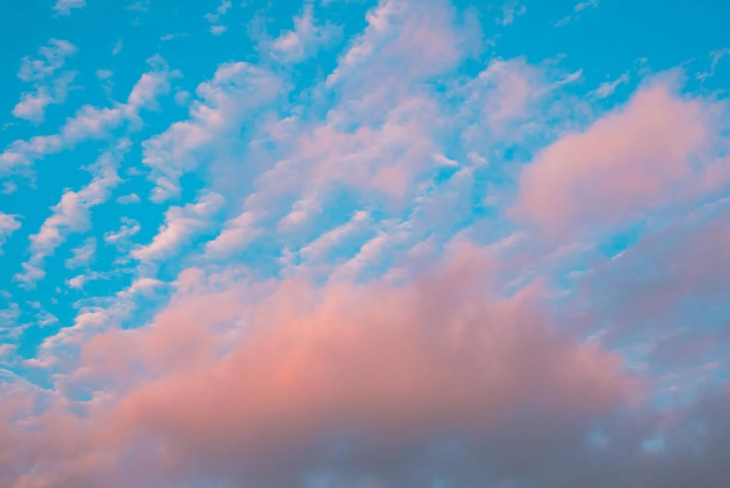 Enjoying the journey, while enjoying the outdoors 

I also tried out @emilie.hofferber pastel presets !! Loving them!!! I always love vibrant colors, I believe it helps your brain see more color! I love supporting other artists or businesses. Helps t