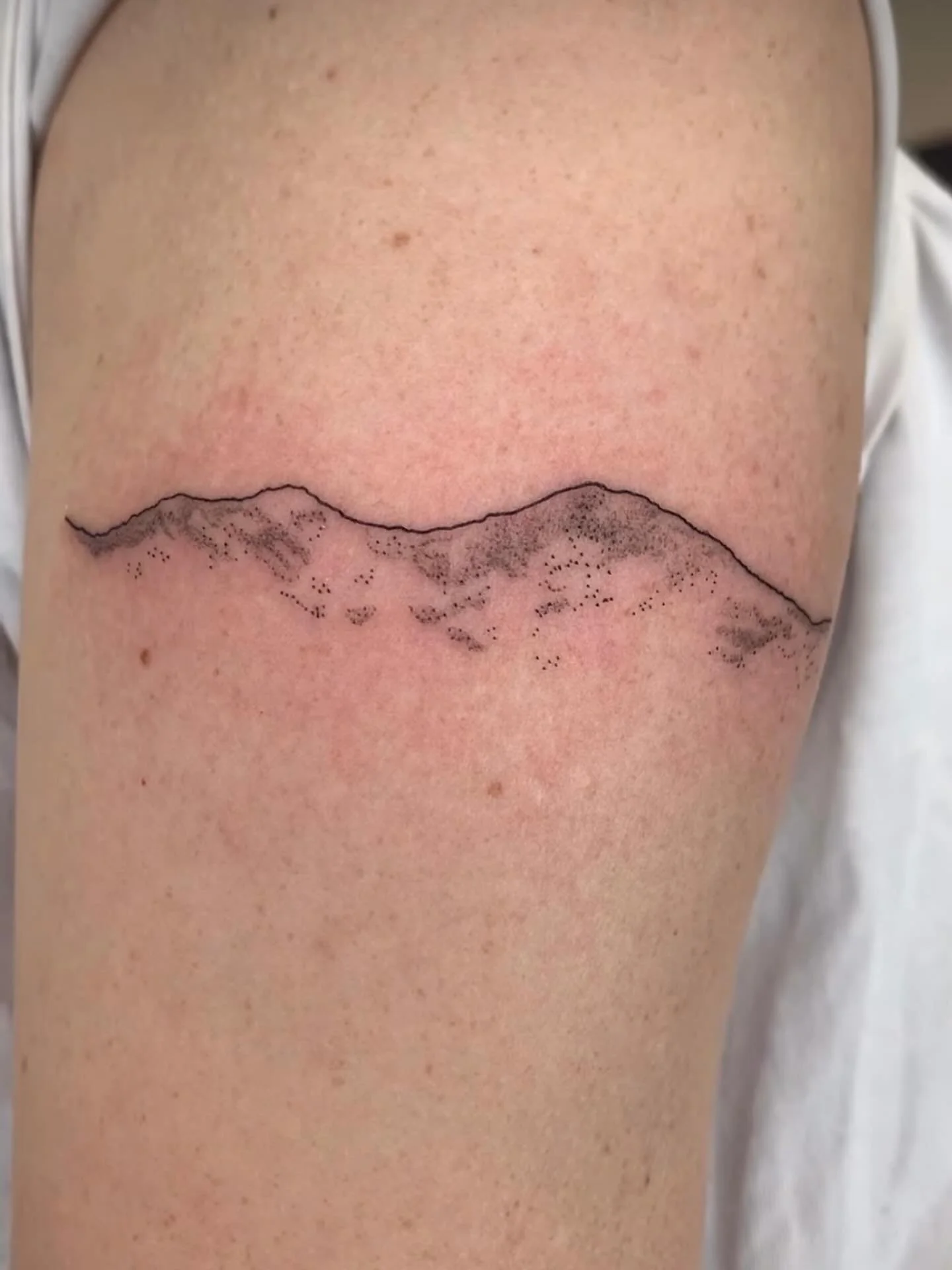 Gorgeous mountains by @laurenpokes 
Get a tattoo with her if you want some incredible delicate work. 

#junebugtattoo #fineline
