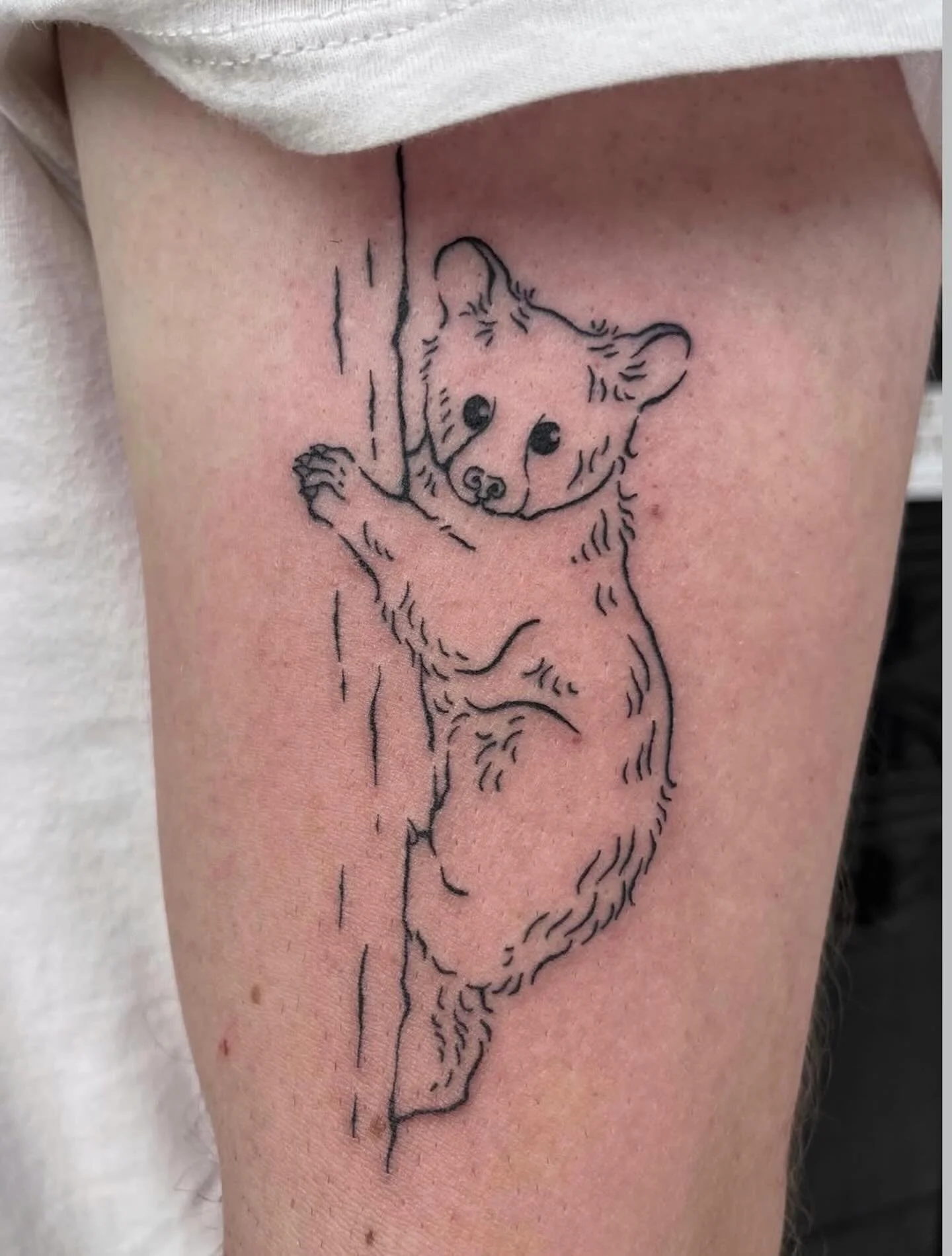Sweet bear cub by @anyasarts ❤️

#junebugtattoo #beartattoo