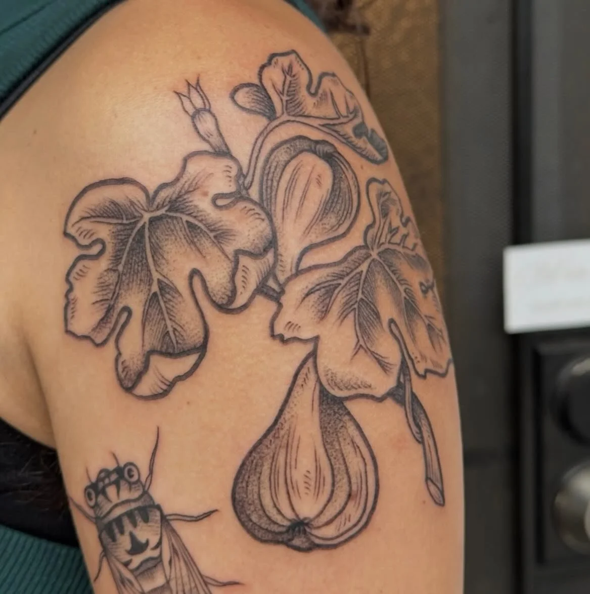 Figs and cicada by @sadiespotaties! Obsessed with the bold outline ✨

#junebugtattoo #botanicaltattoo