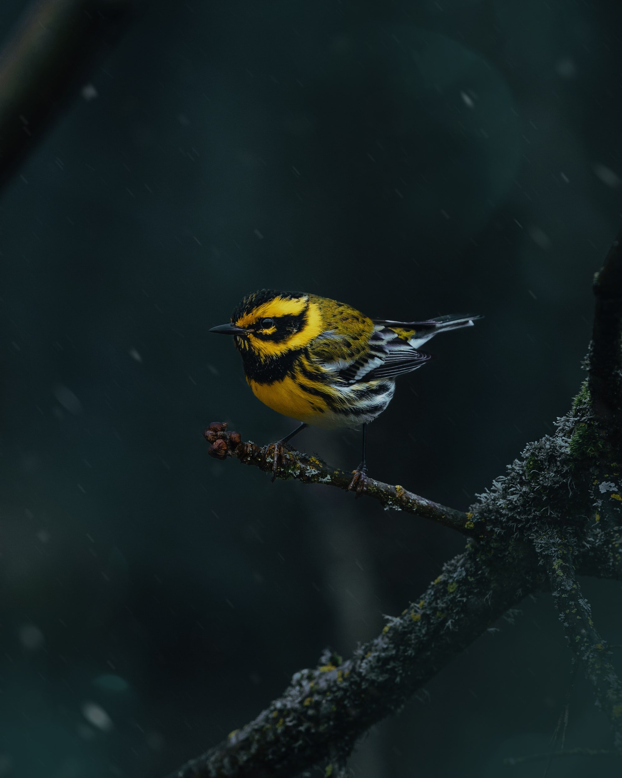 Taking Responsibility for Your Happiness