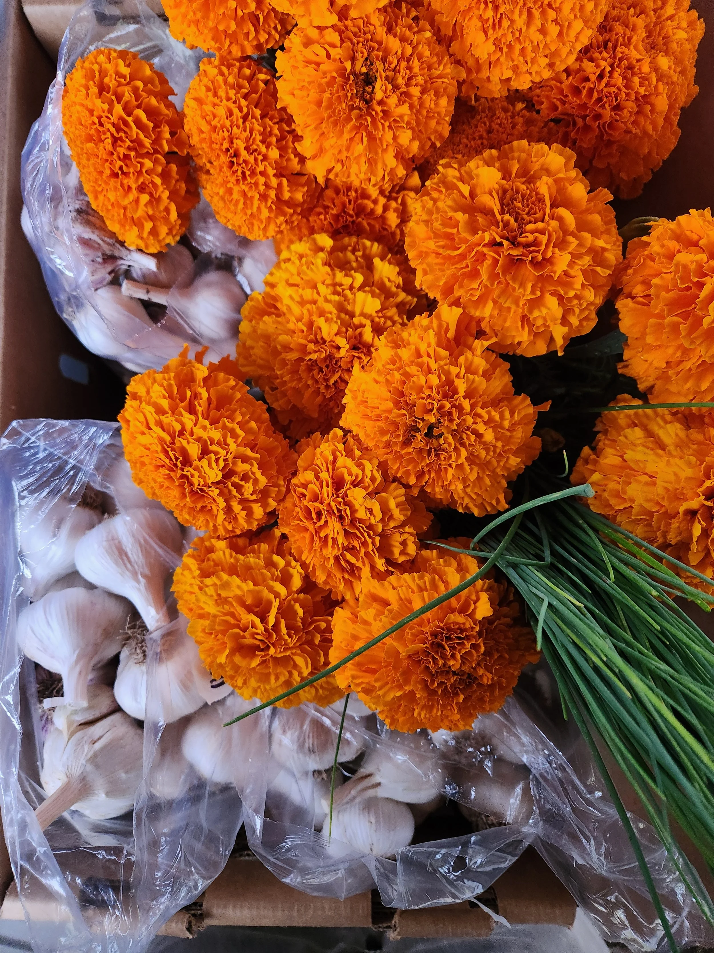 U-Pick Friday 9/25, 4-6pm