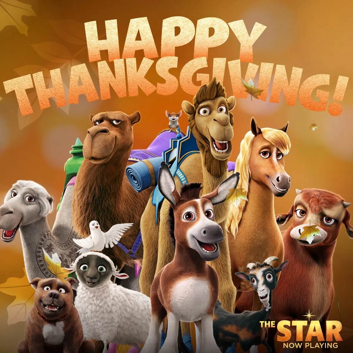 SONY_TheStar_Holiday_Thanksgiving.jpg