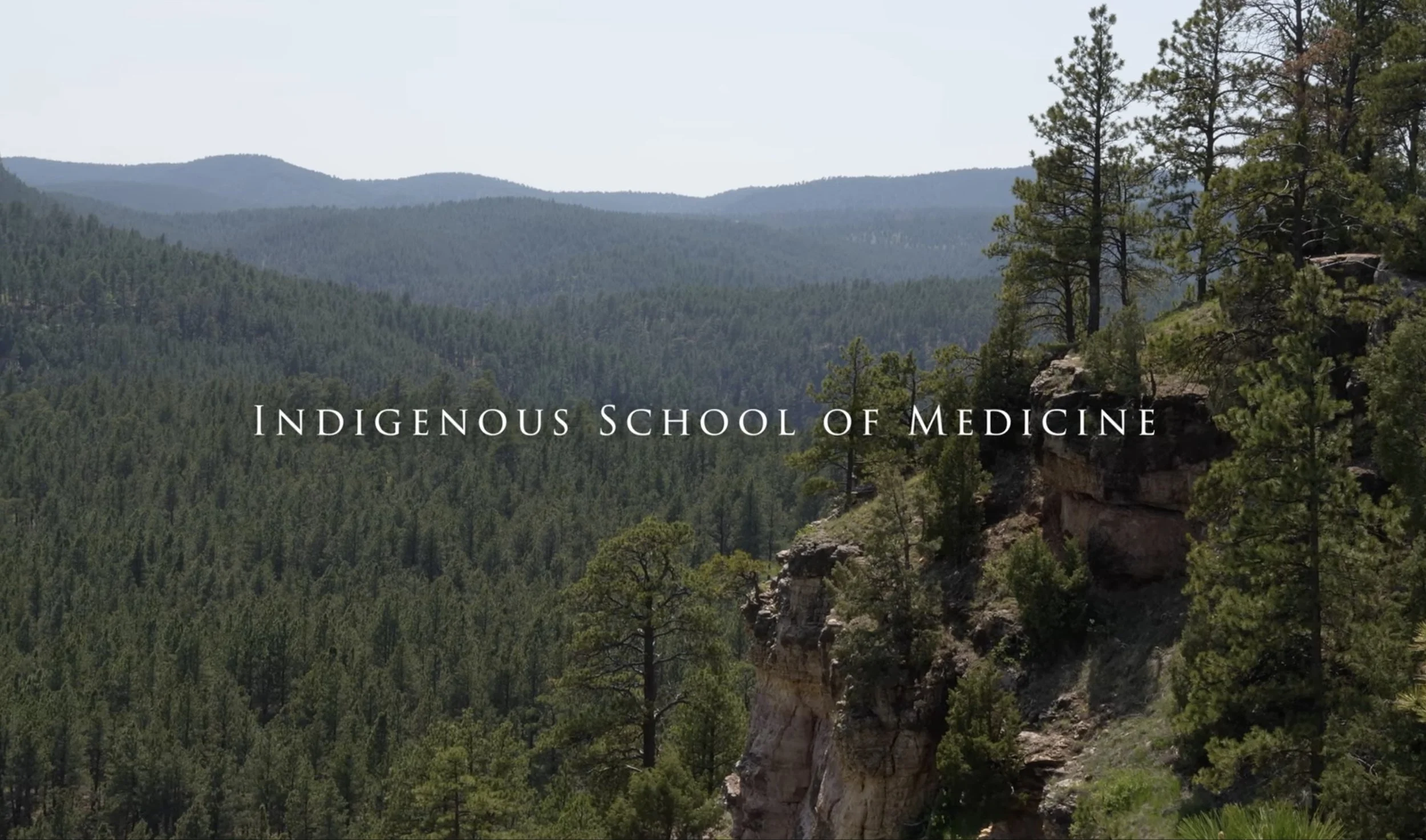 Indigenous School of Medicine