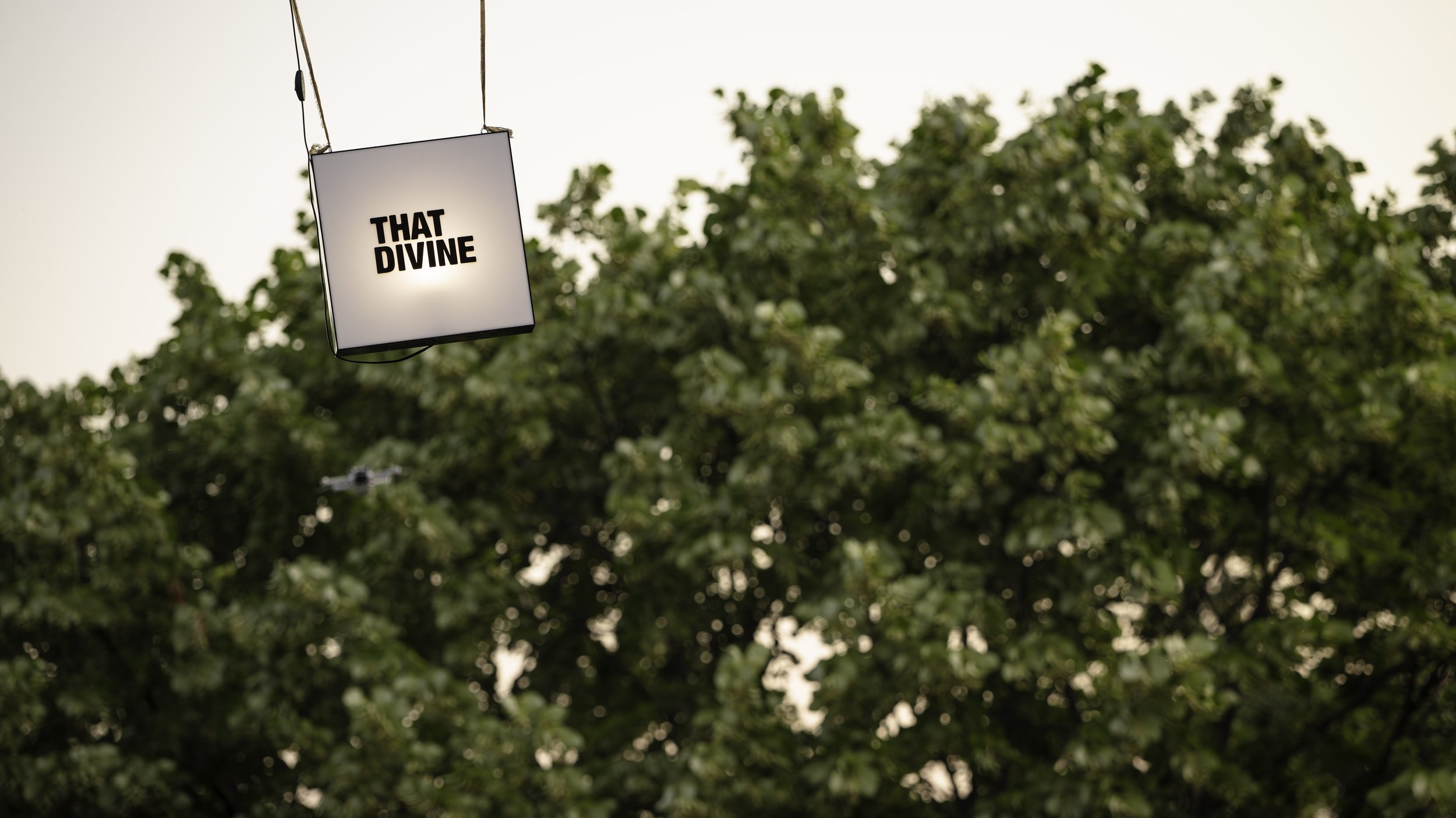 That Divine Varna Edited-210.jpg