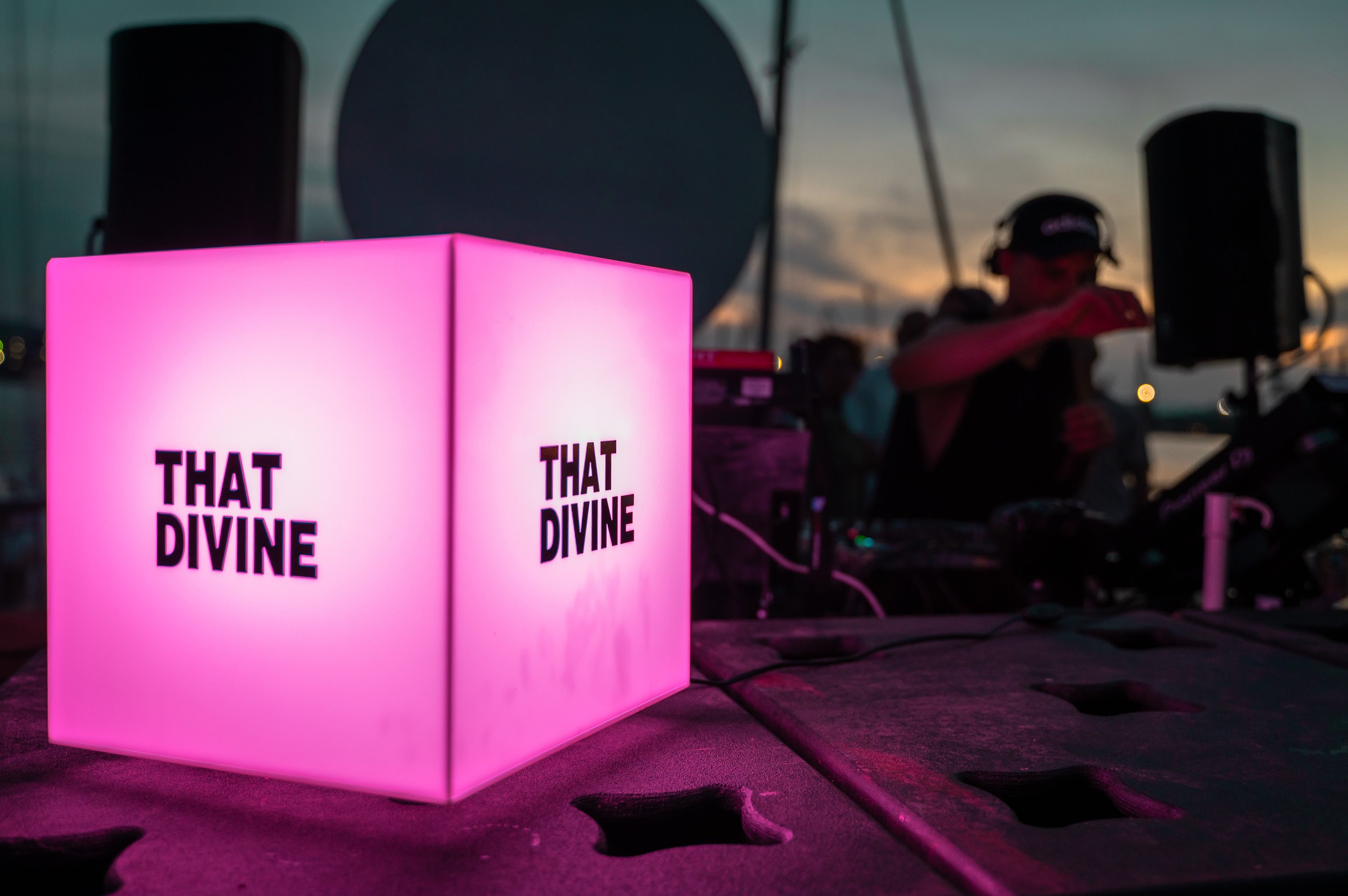 ТHAT DIVINE VARNA 2-9608.jpg