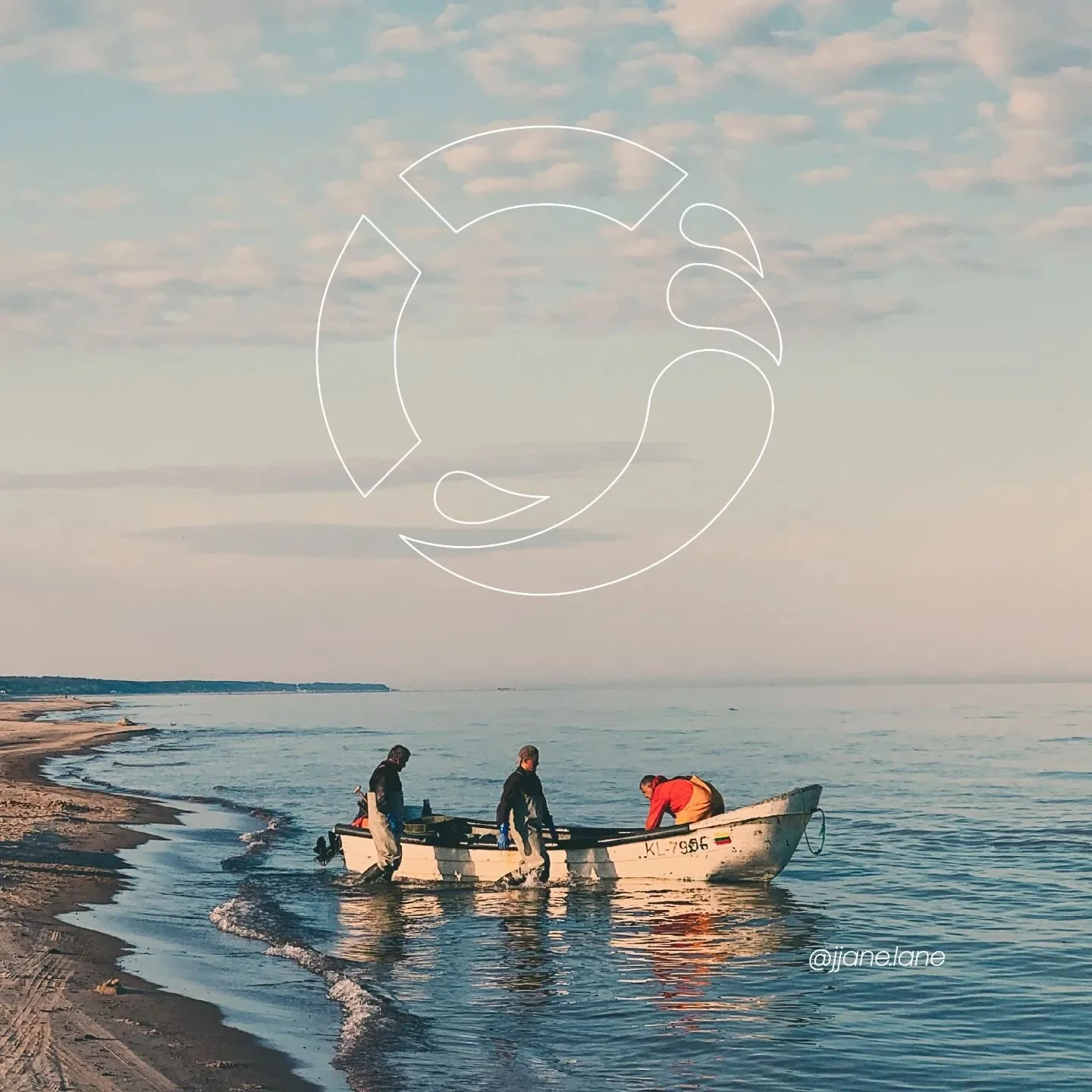 SeaSafe | Brand, logo, and web design

#designedinsommer