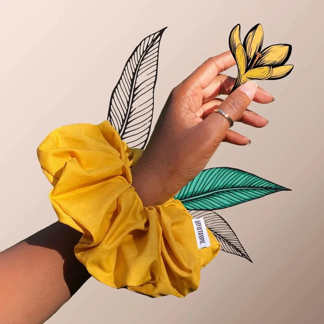 LITTLE TROPIC |  Brand Identity