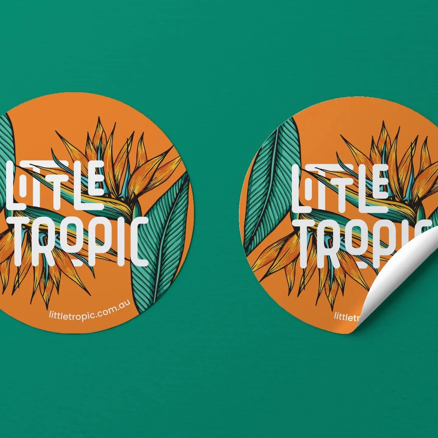 LITTLE TROPIC |  Brand Identity - Stickers