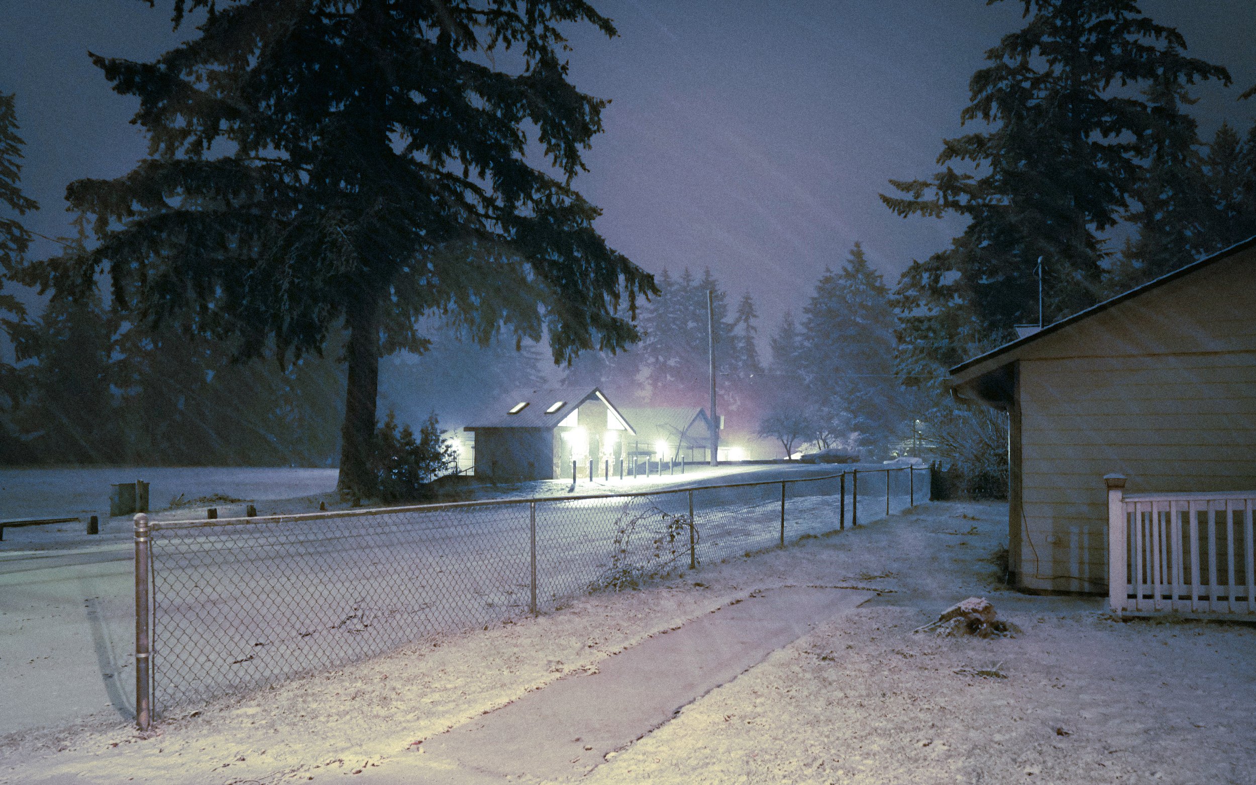 snow is still new to me but i very much hate it.