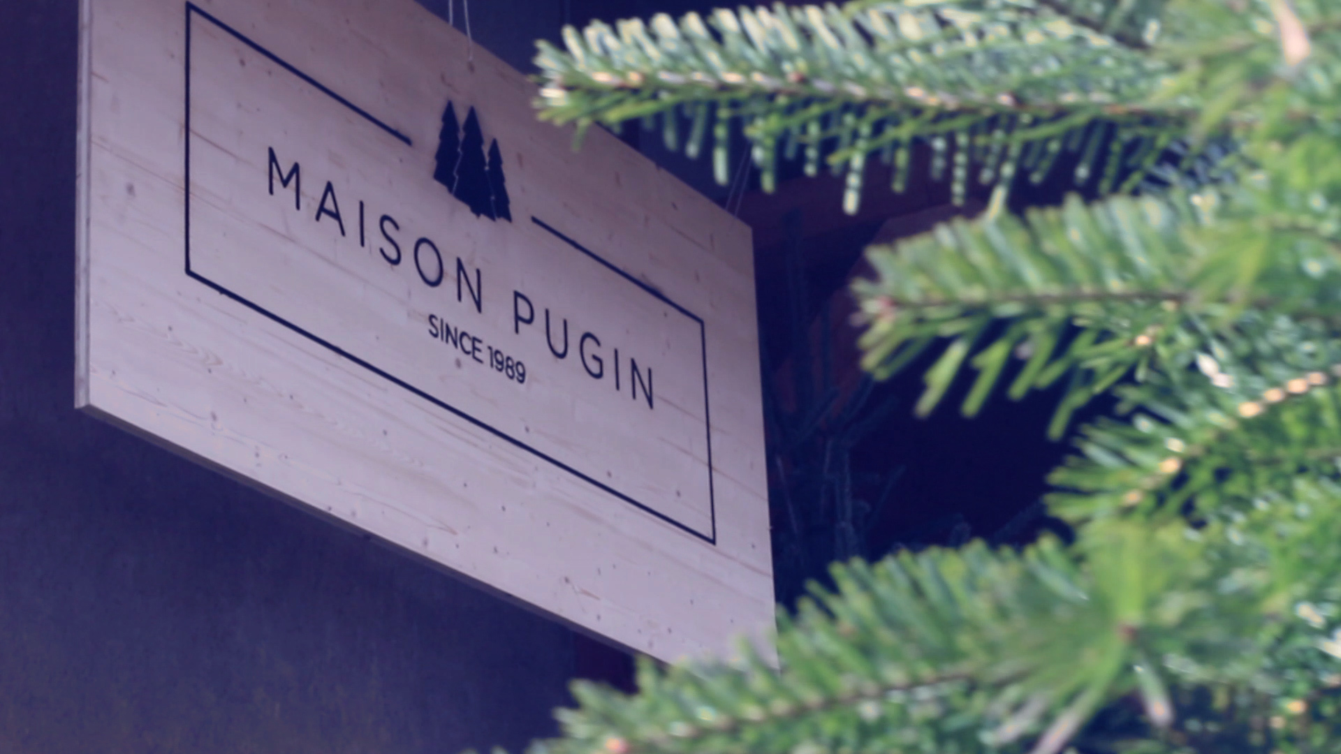 Séquence 01.Image fixe003.jpg