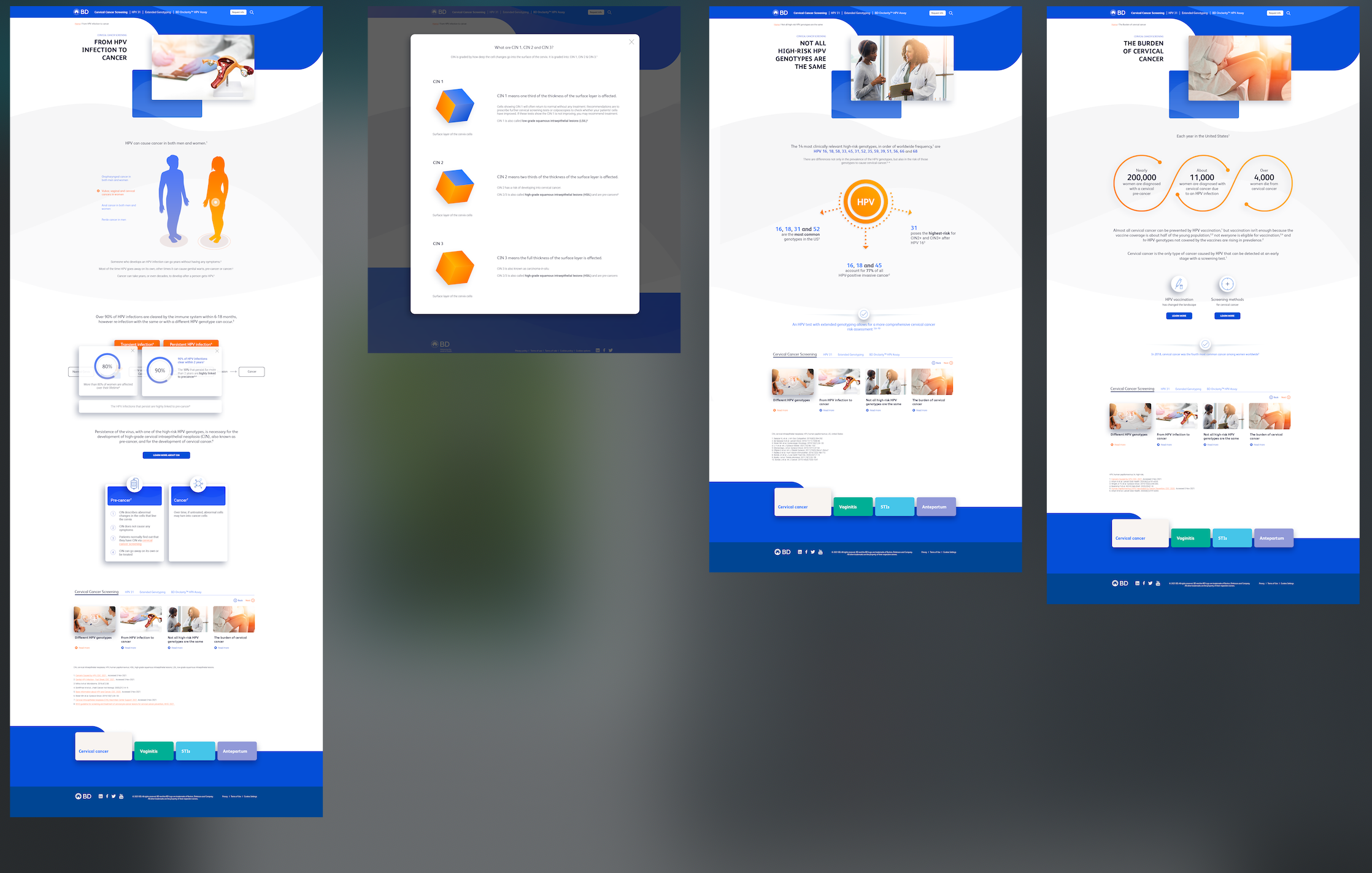 BD_Webpage_LowScreen2.png