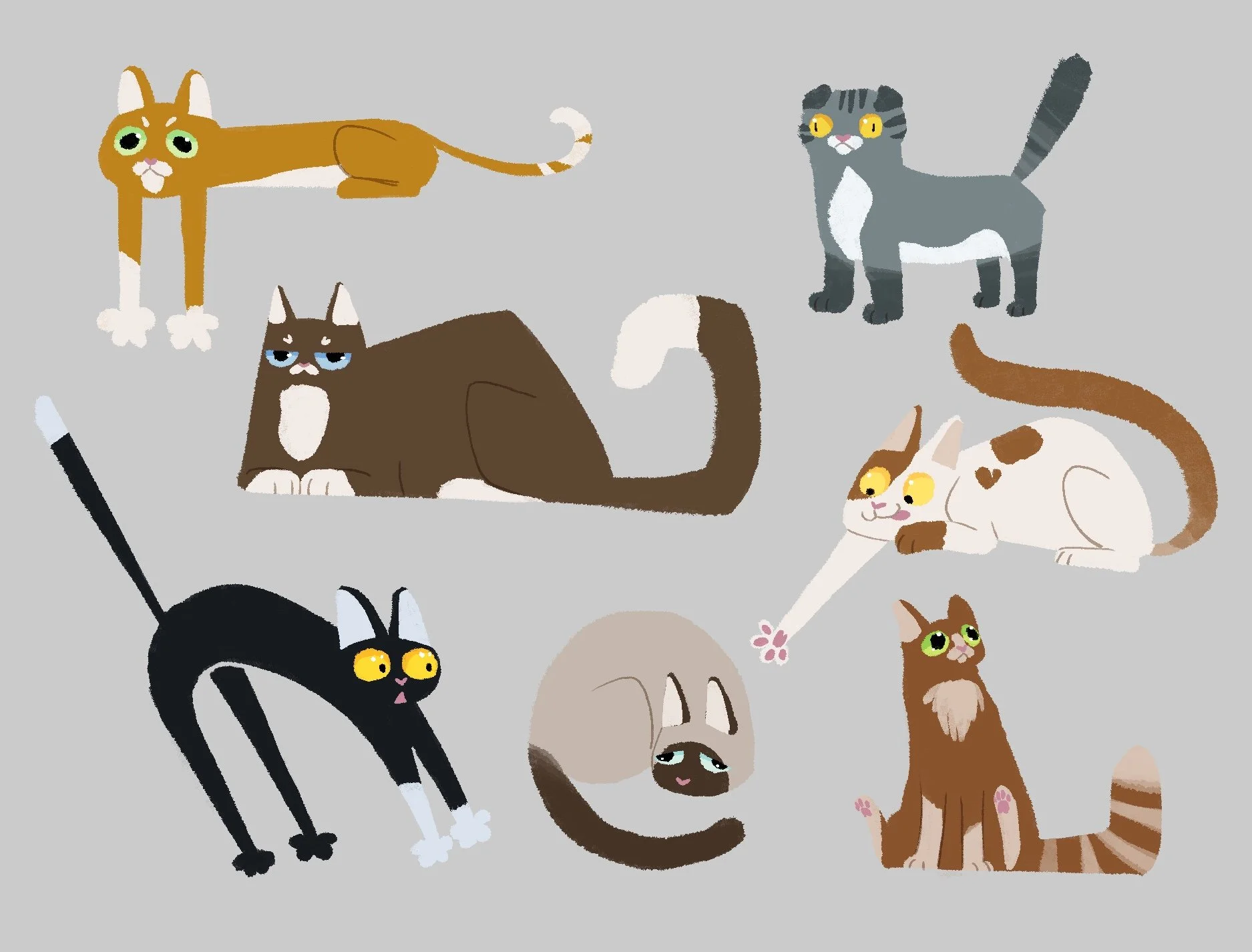 Untitled_Artwork 11 copy 3.jpg