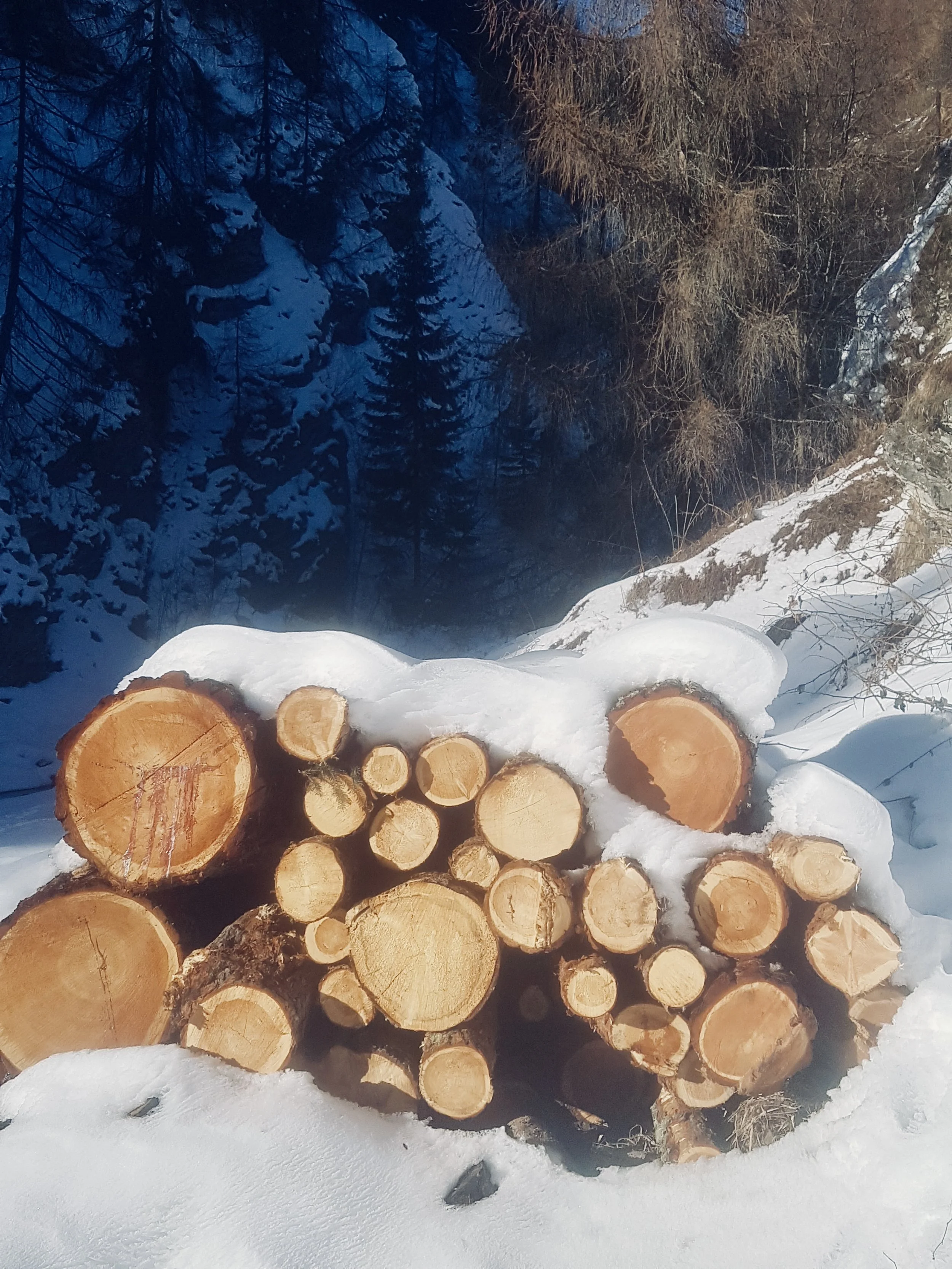 Reduziertes Holzstapel im verschneiten Winterszenario mit Tannenbaum und Felsen im Hintergrund.