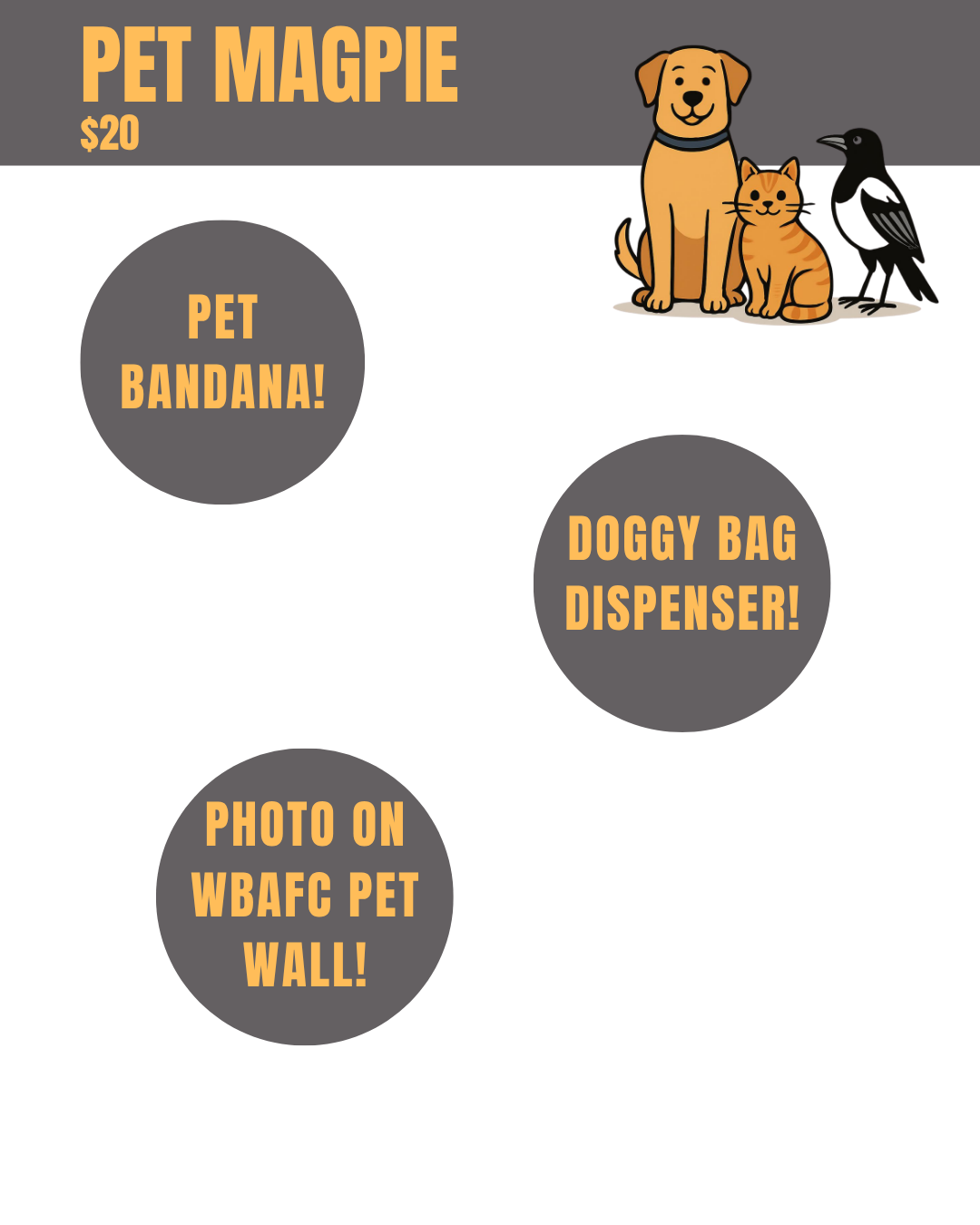 Pet Magpie - Mini Poster.png